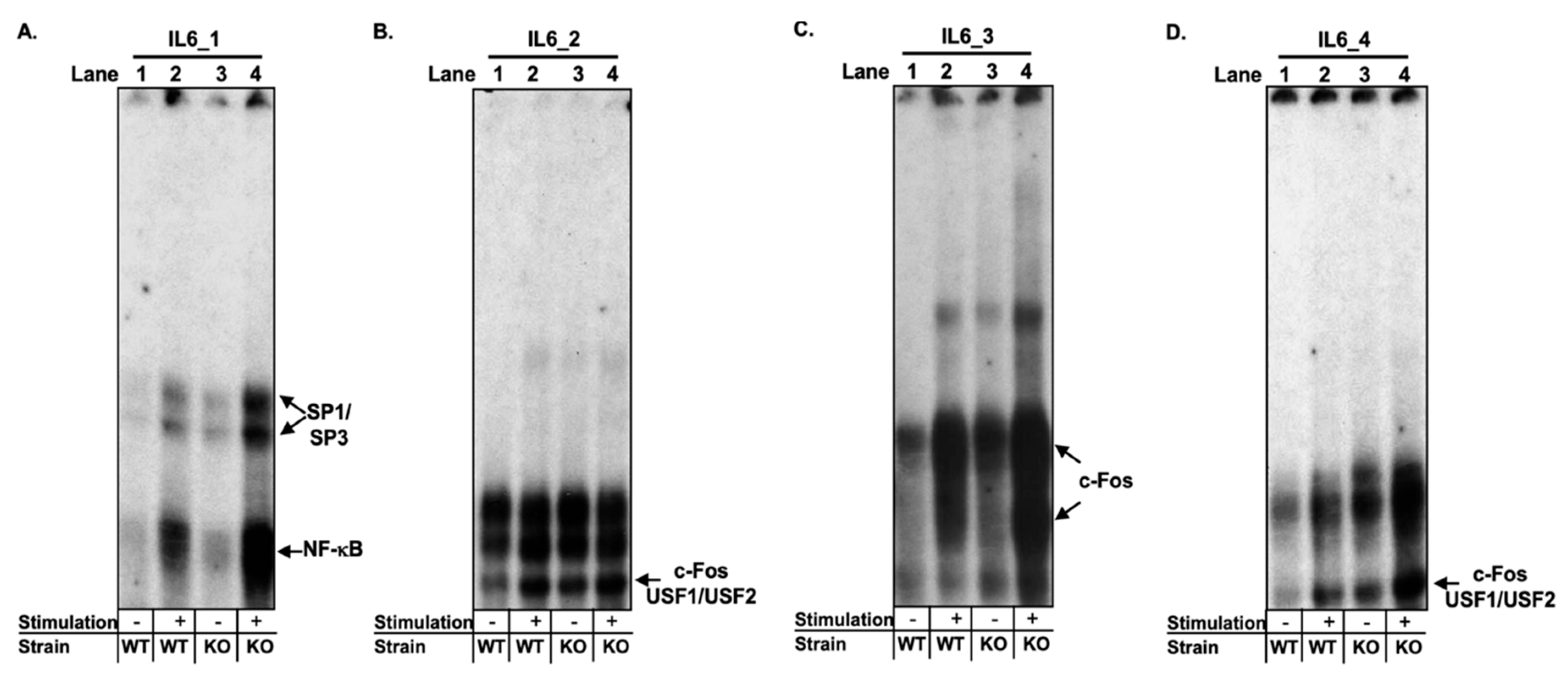 Ijms 22 04582 g001 Ijms 22 04582 g001