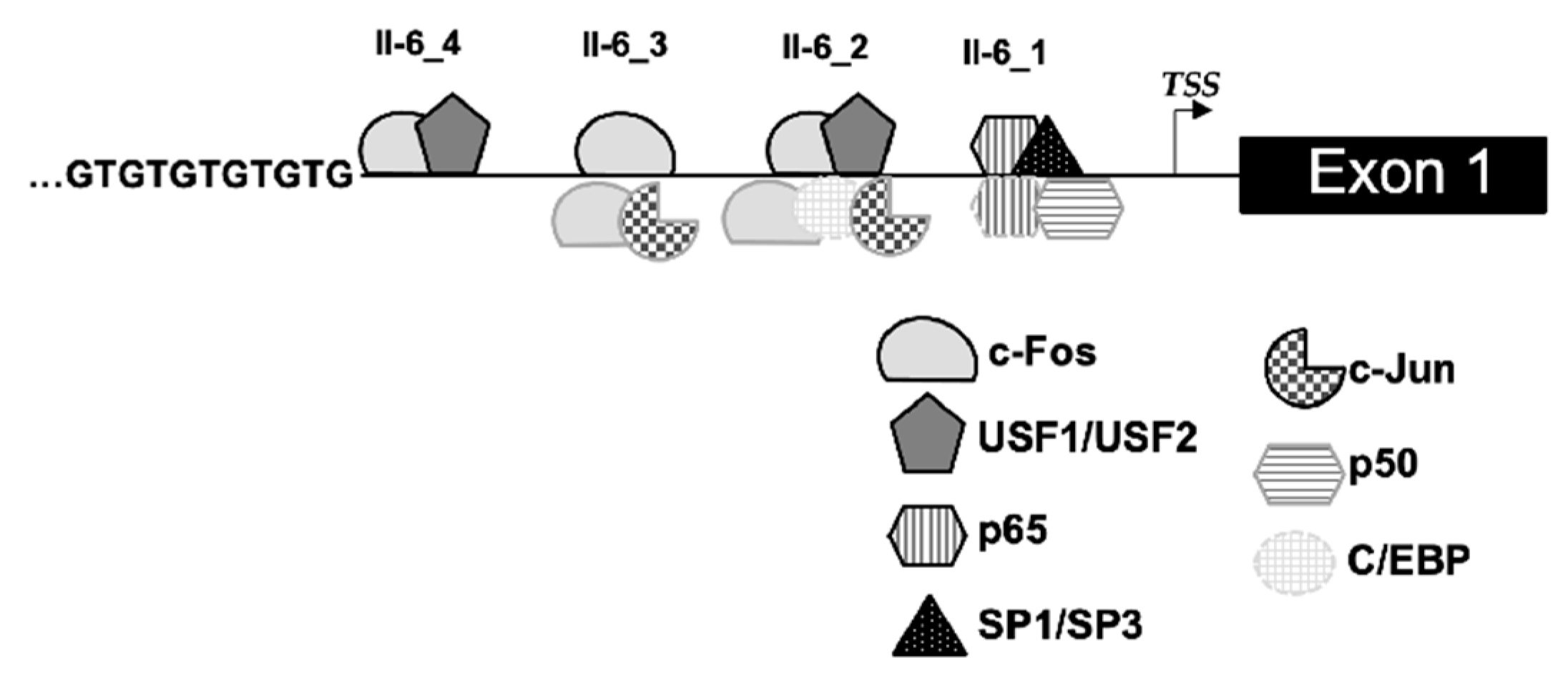 Ijms 22 04582 g003 Ijms 22 04582 g003