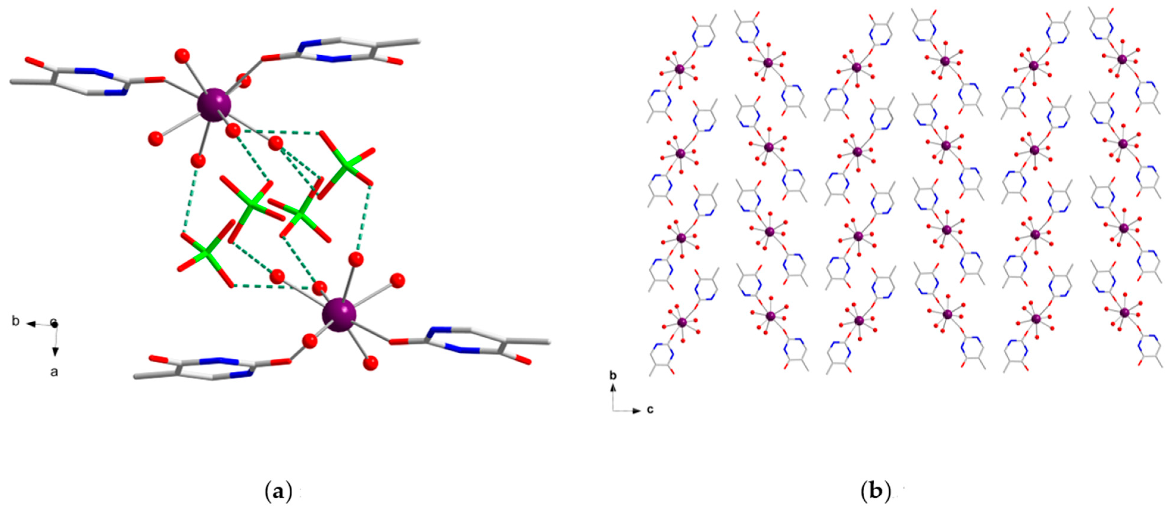 Ijms 22 04586 g003 Ijms 22 04586 g003