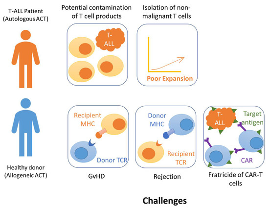 t様へ①⑤ 1/64 Motorhelix Honda NSX-R (NA2) (Champion White) Car Model