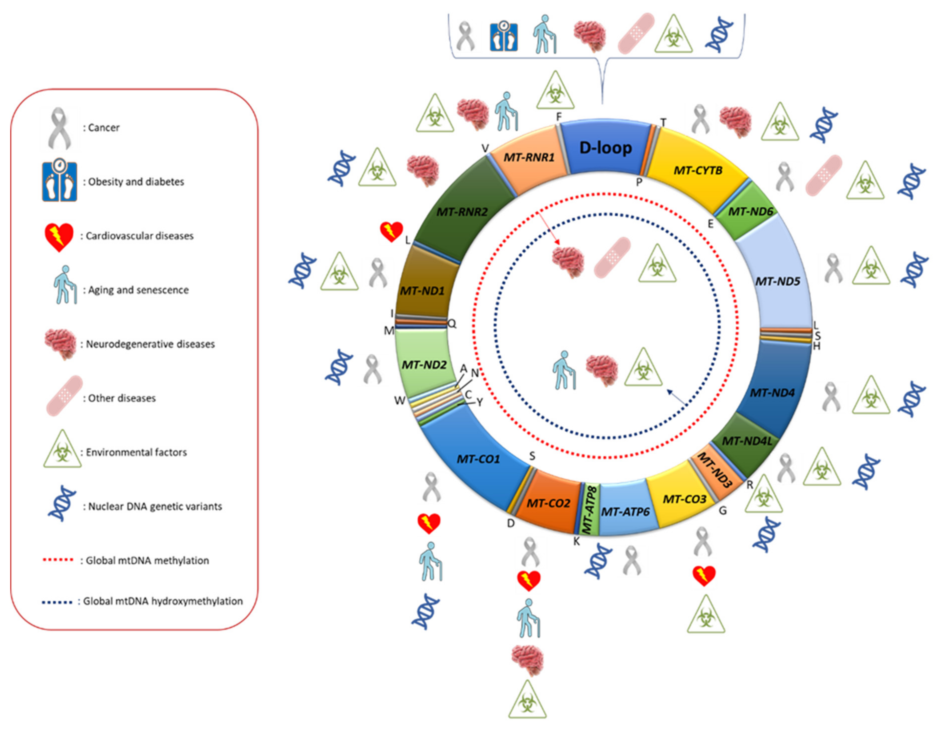 Ijms 22 04594 g001 Ijms 22 04594 g001