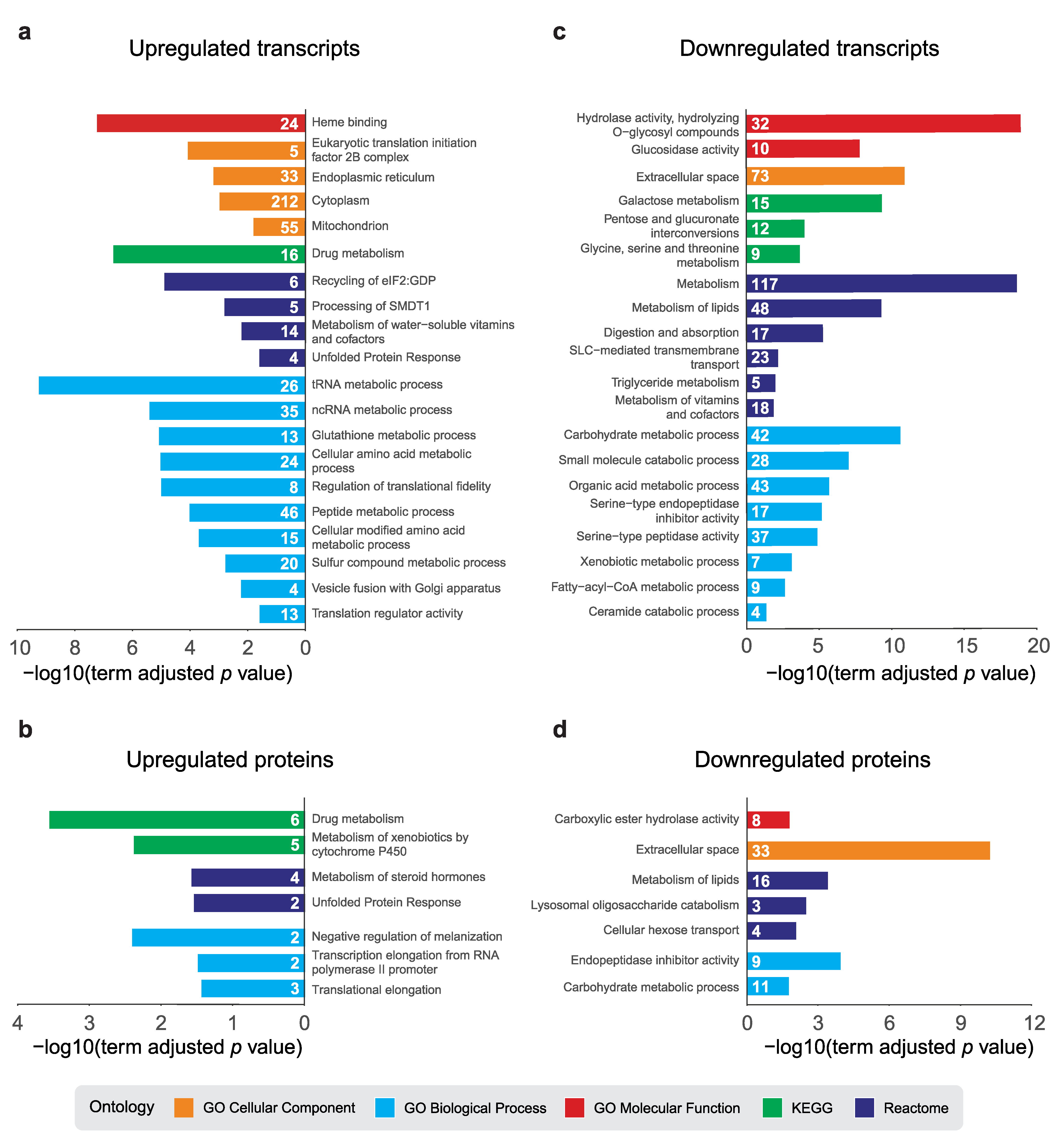 Ijms 22 04598 g003 Ijms 22 04598 g003
