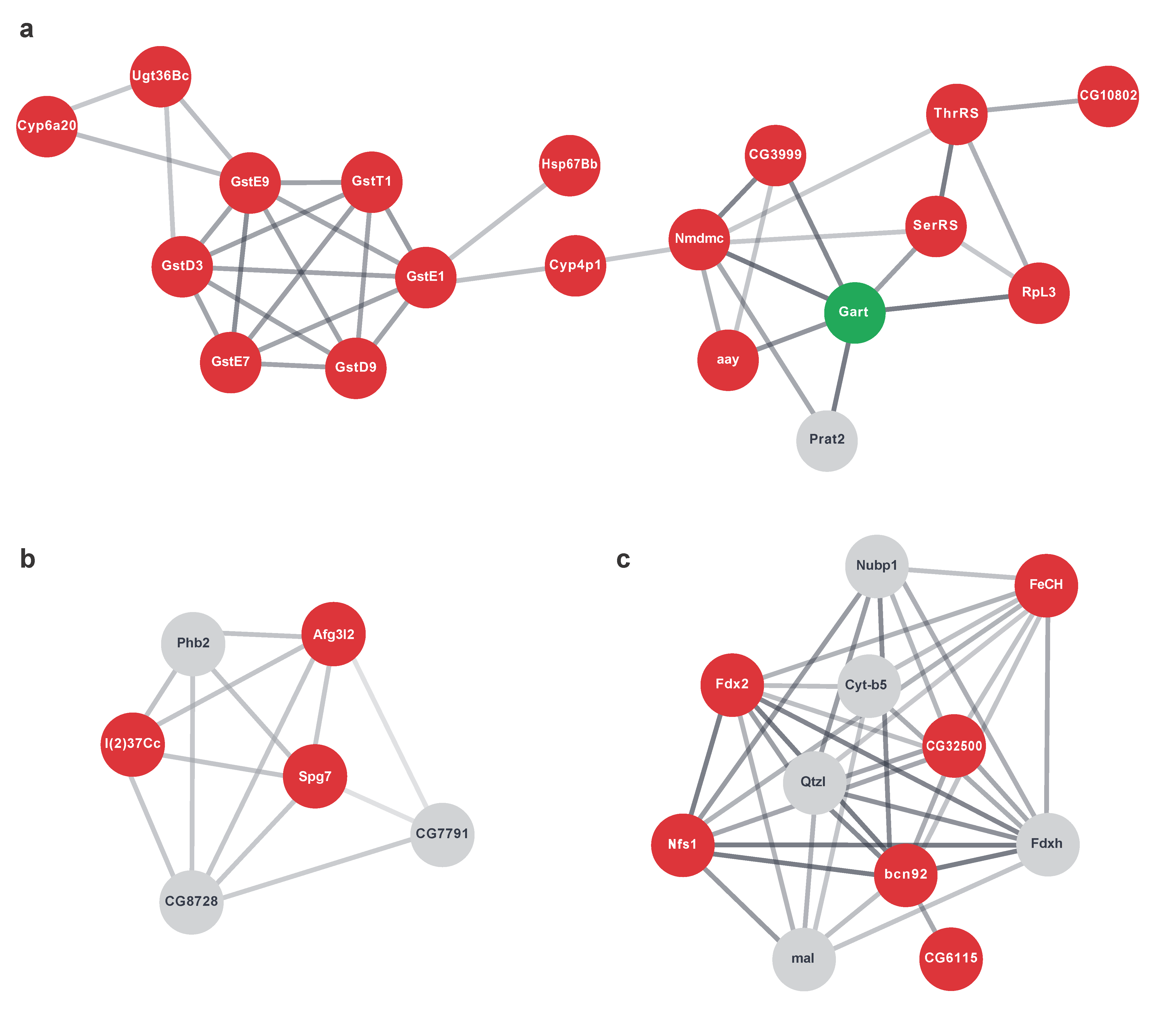 Ijms 22 04598 g008 Ijms 22 04598 g008