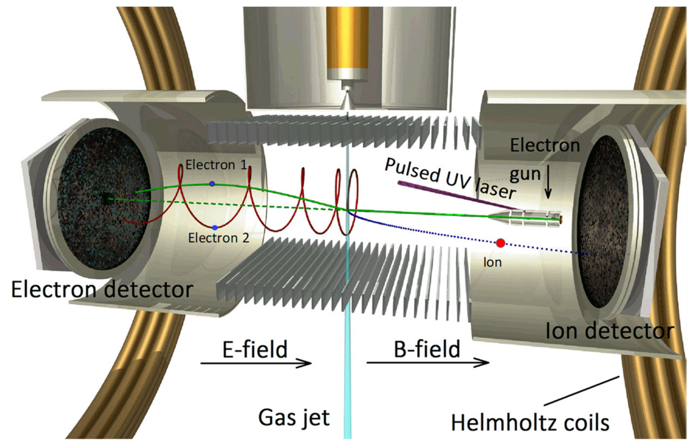 Ijms 22 04601 g006 Ijms 22 04601 g006