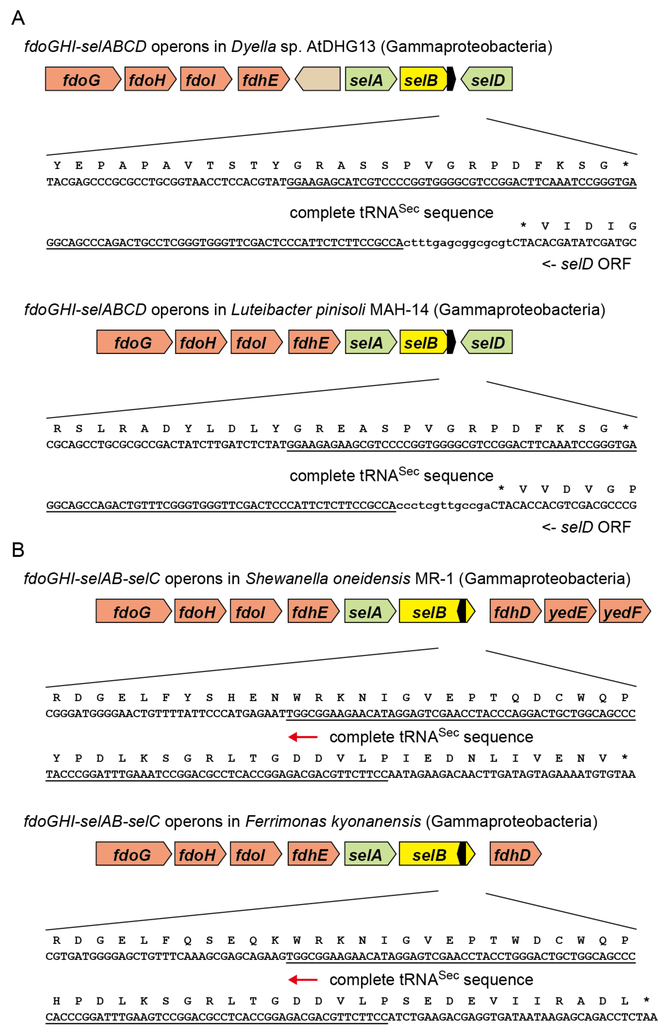 Ijms 22 04605 g005