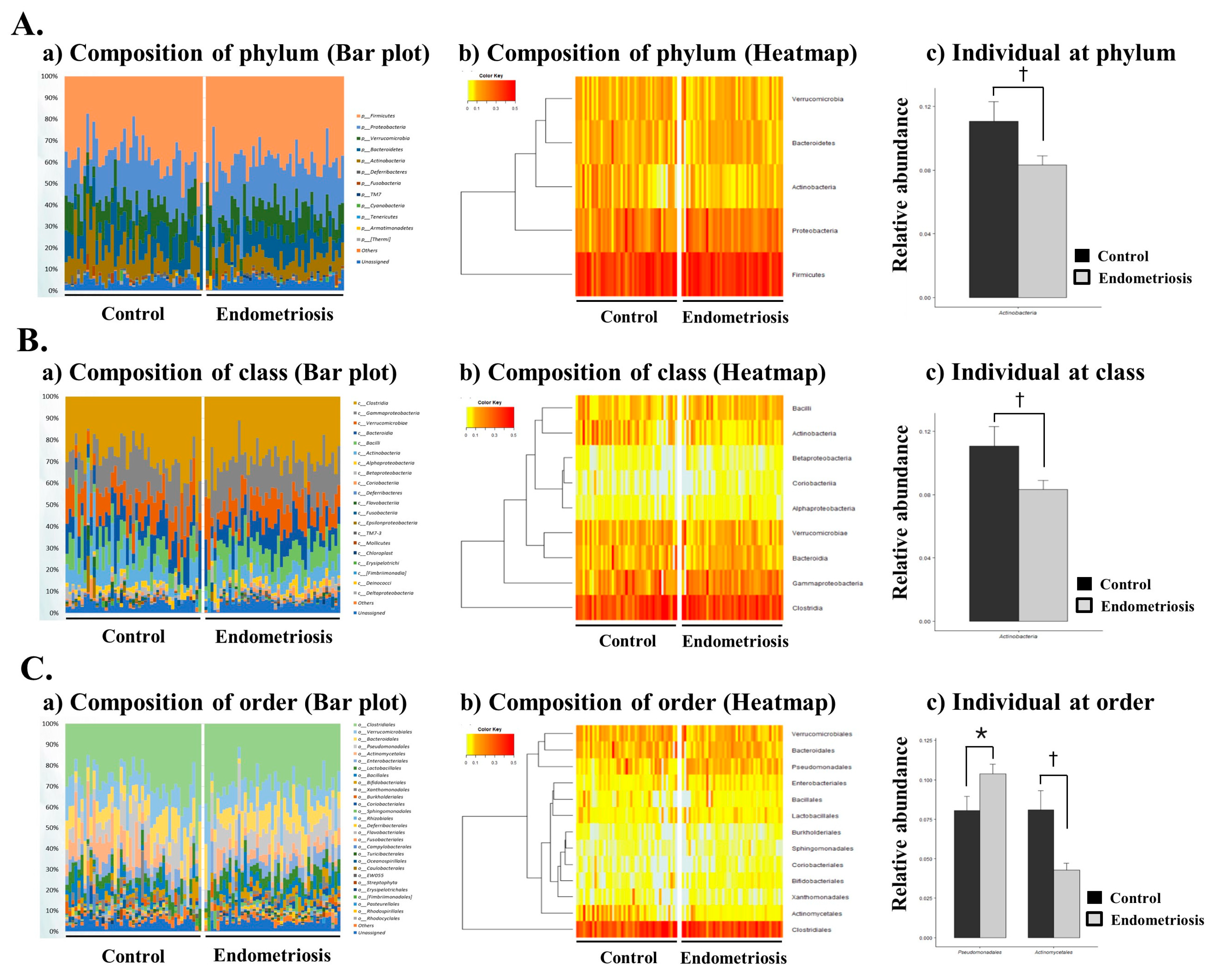 Ijms 22 04608 g002 Ijms 22 04608 g002