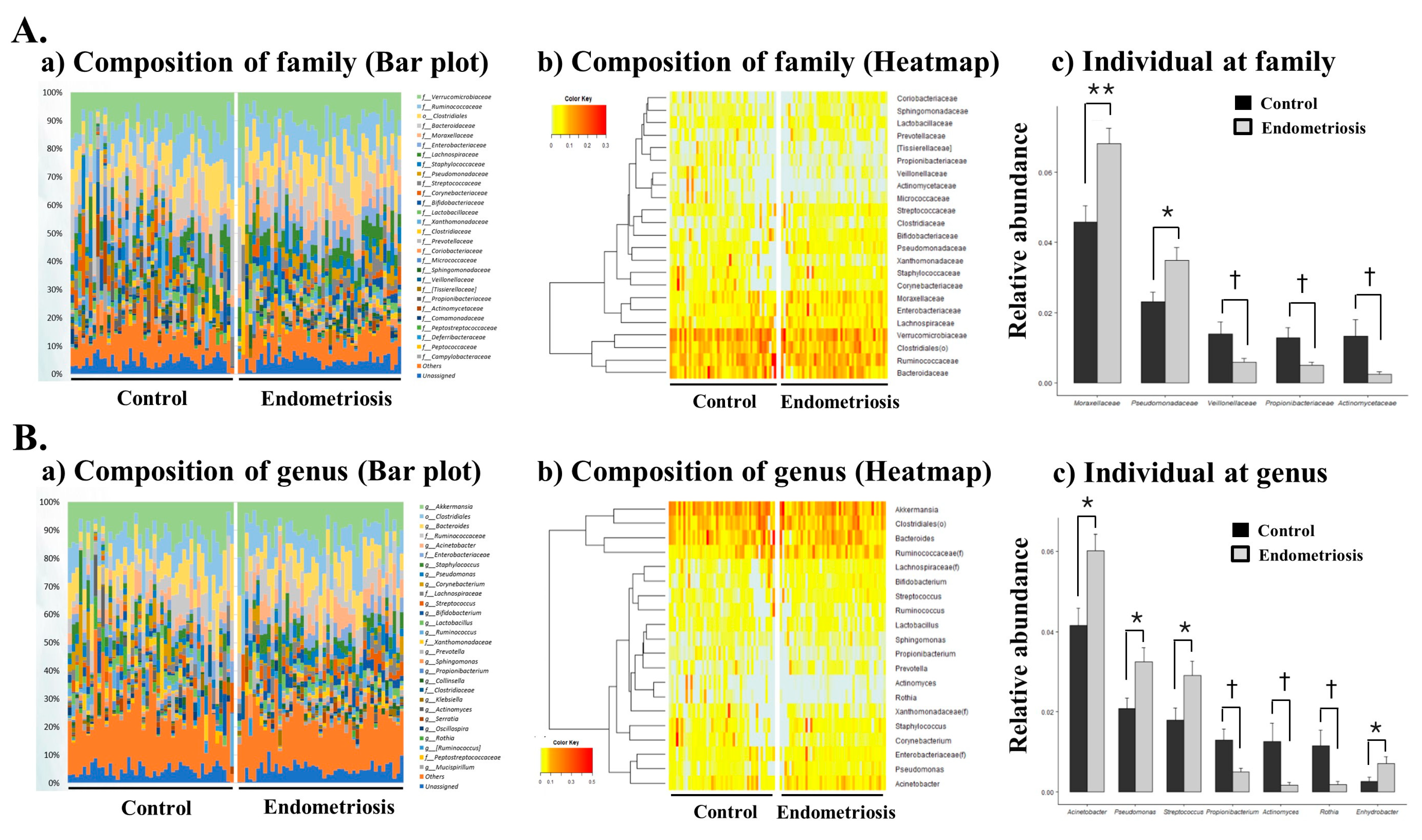 Ijms 22 04608 g003 Ijms 22 04608 g003