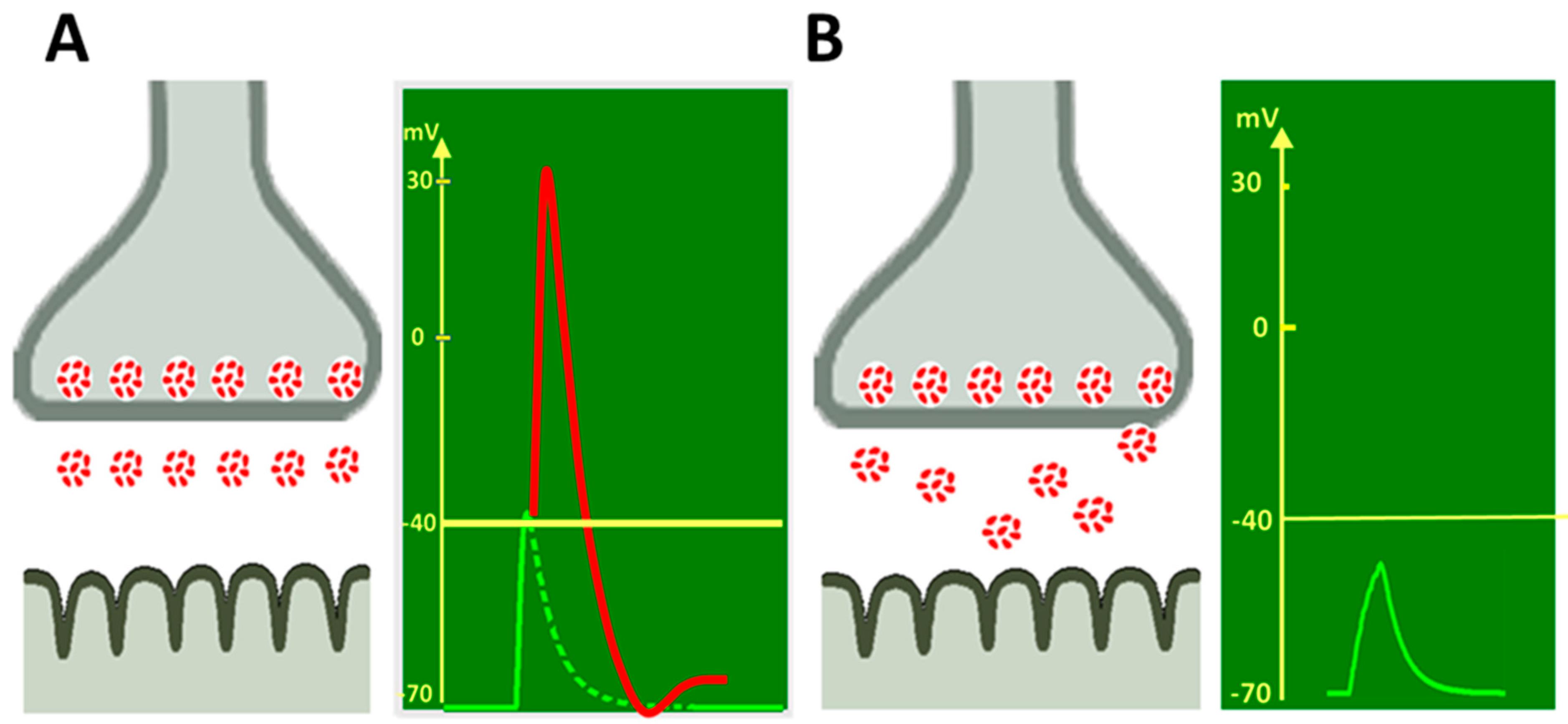 Ijms 22 04611 g001 Ijms 22 04611 g001