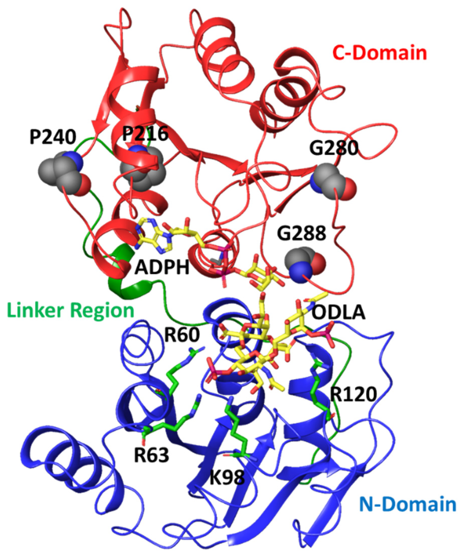 Ijms 22 04619 g006 Ijms 22 04619 g006