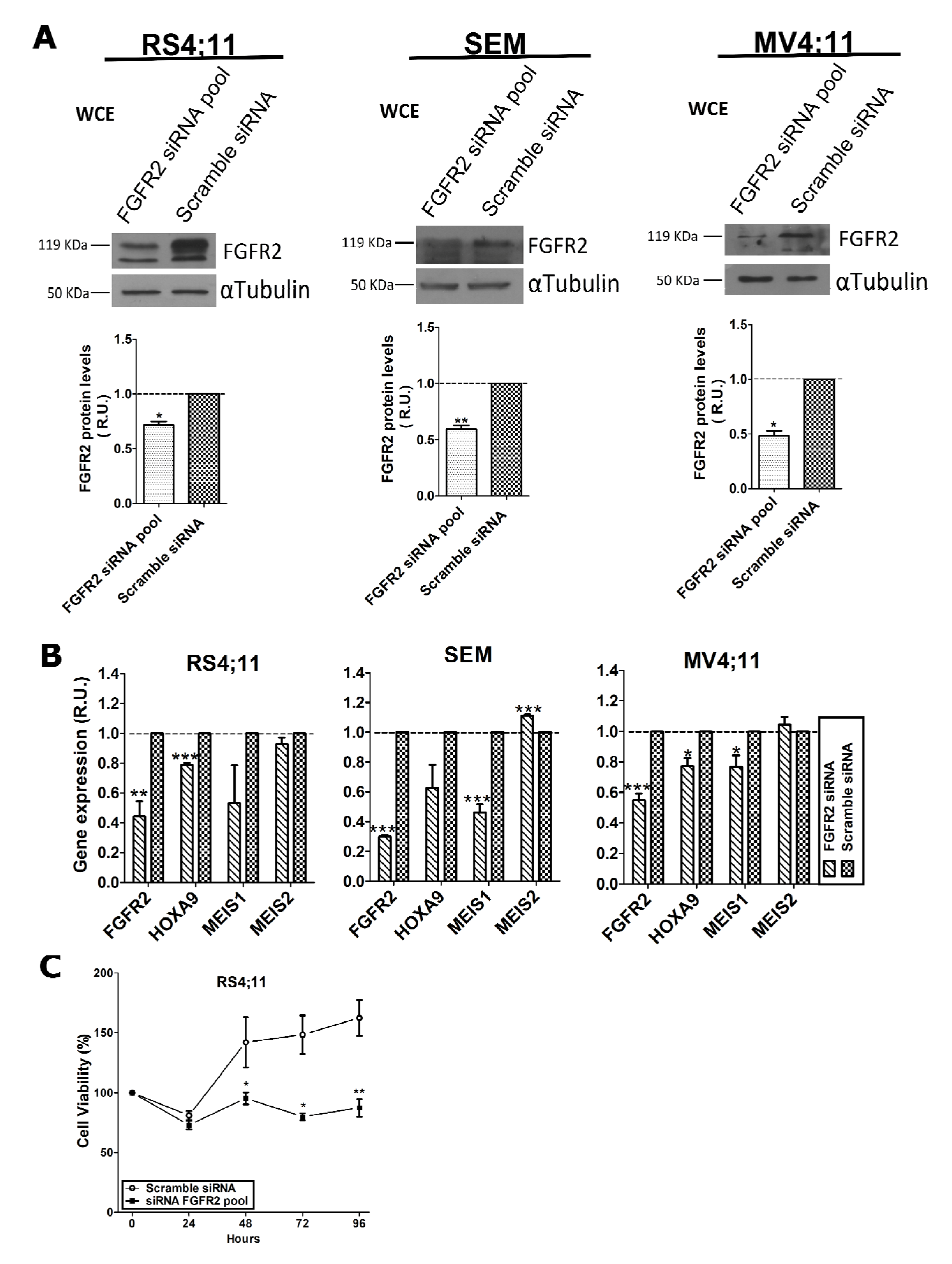 Ijms 22 04623 g002 Ijms 22 04623 g002