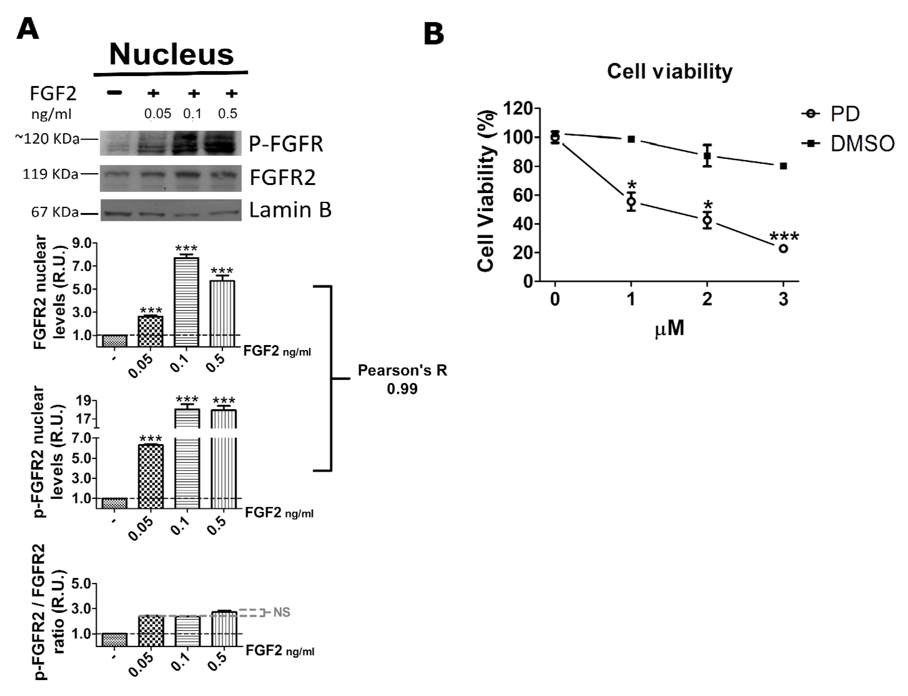 Ijms 22 04623 g004 Ijms 22 04623 g004