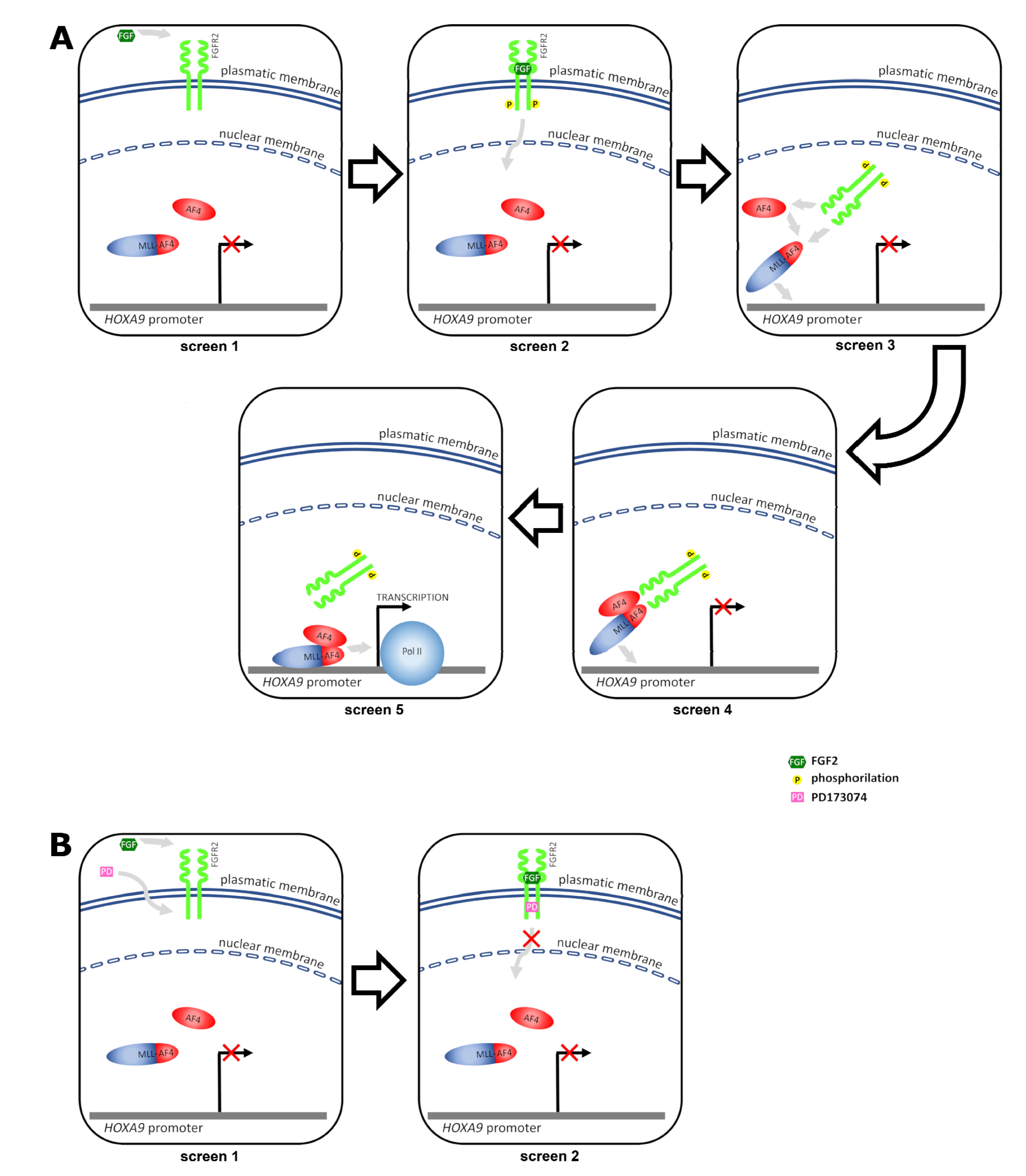 Ijms 22 04623 g007 Ijms 22 04623 g007