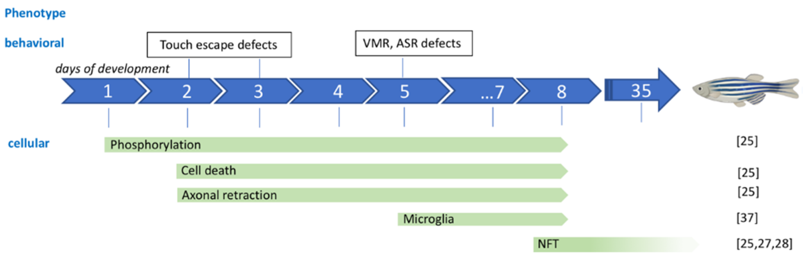 Ijms 22 04626 g003 Ijms 22 04626 g003