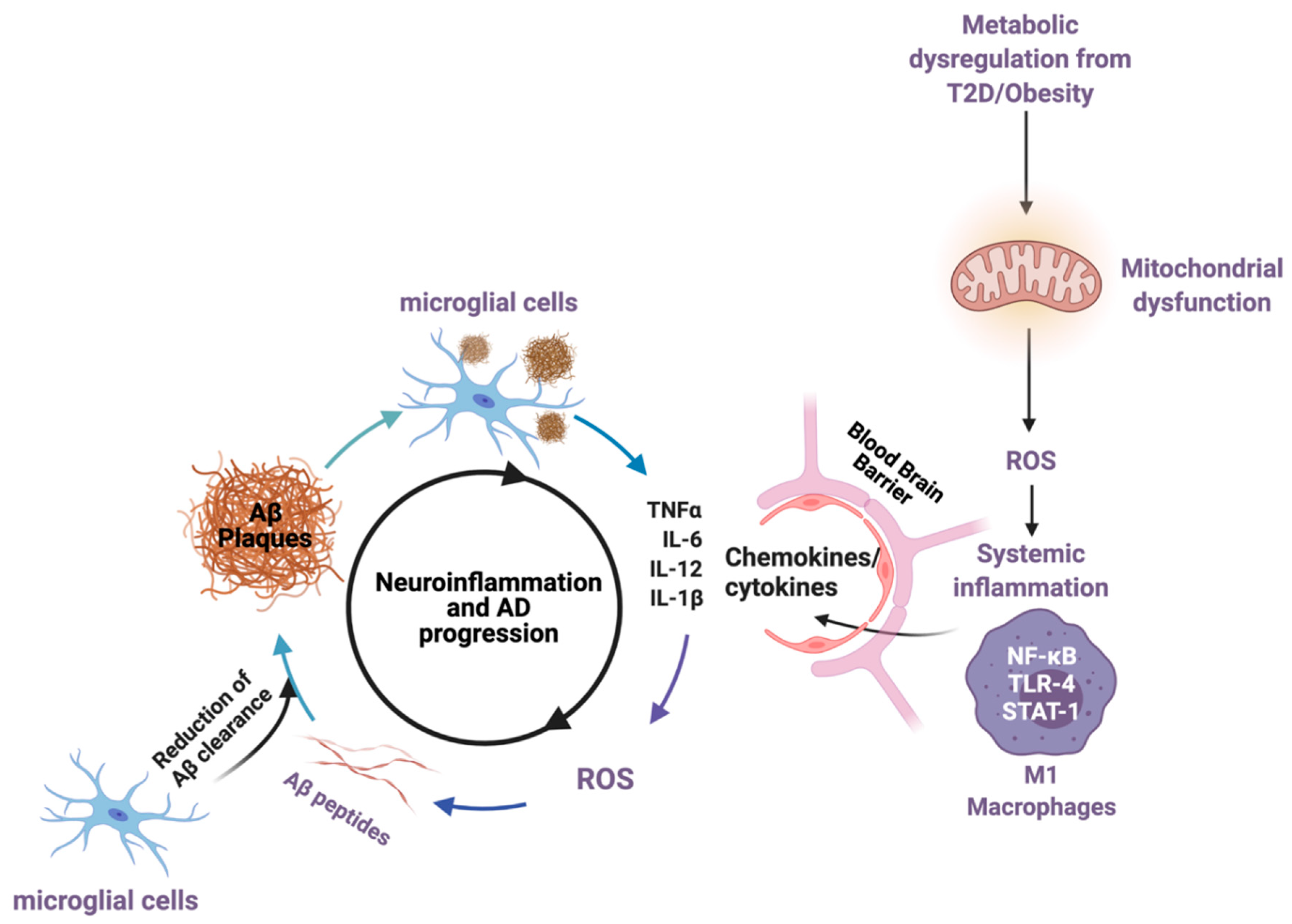 Ijms 22 04628 g001 Ijms 22 04628 g001