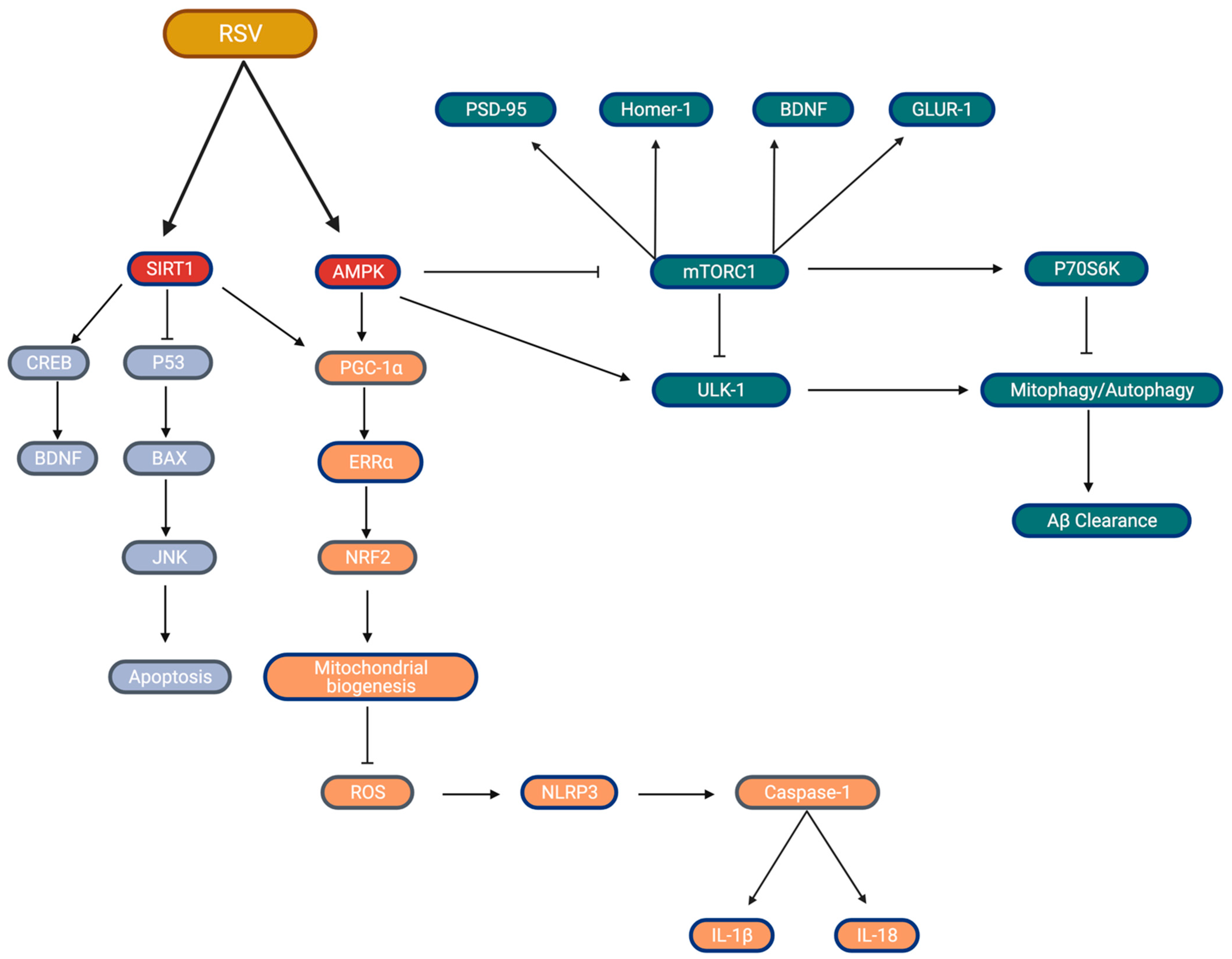 Ijms 22 04628 g002 Ijms 22 04628 g002