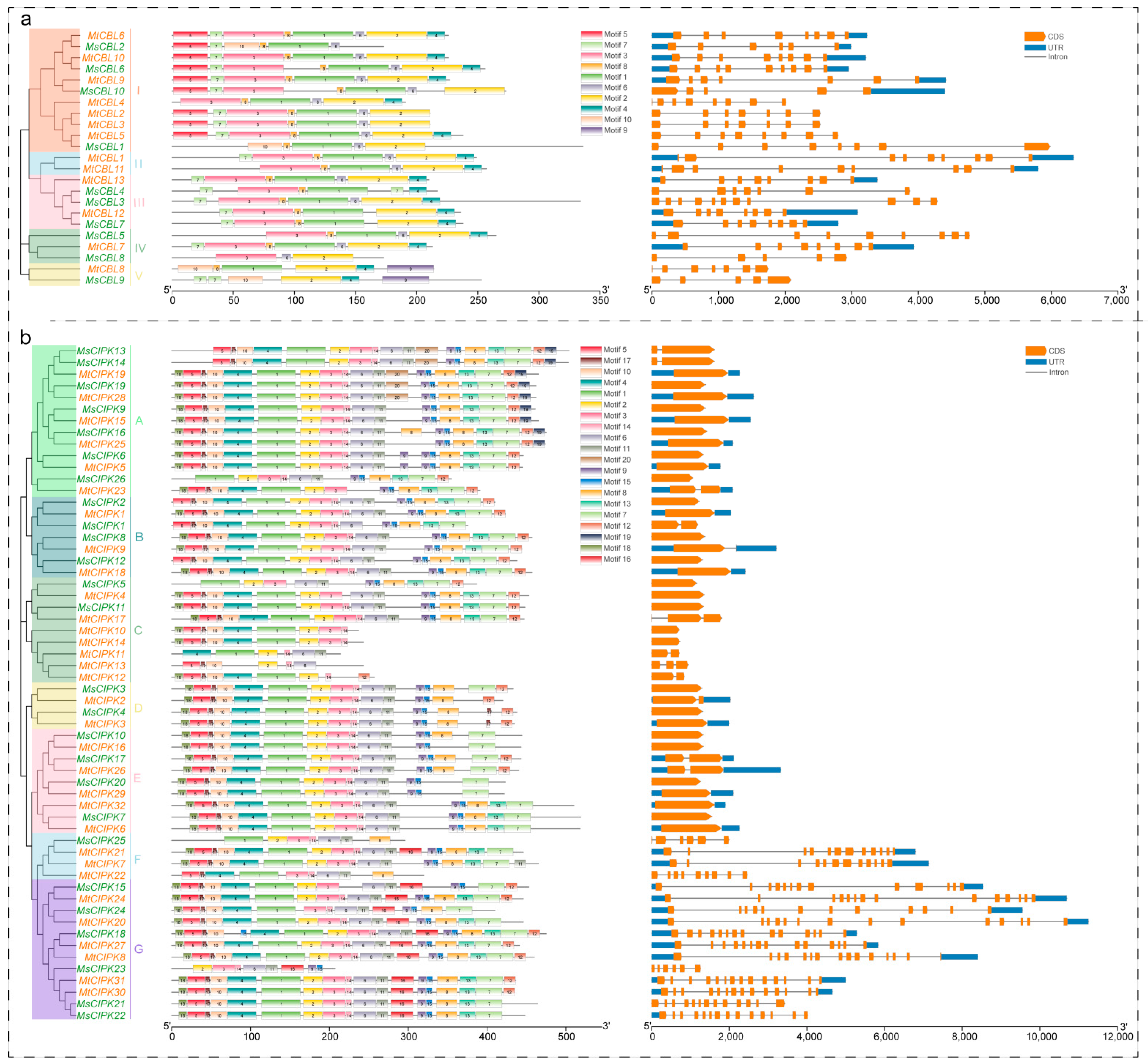 Ijms 22 04634 g002 Ijms 22 04634 g002