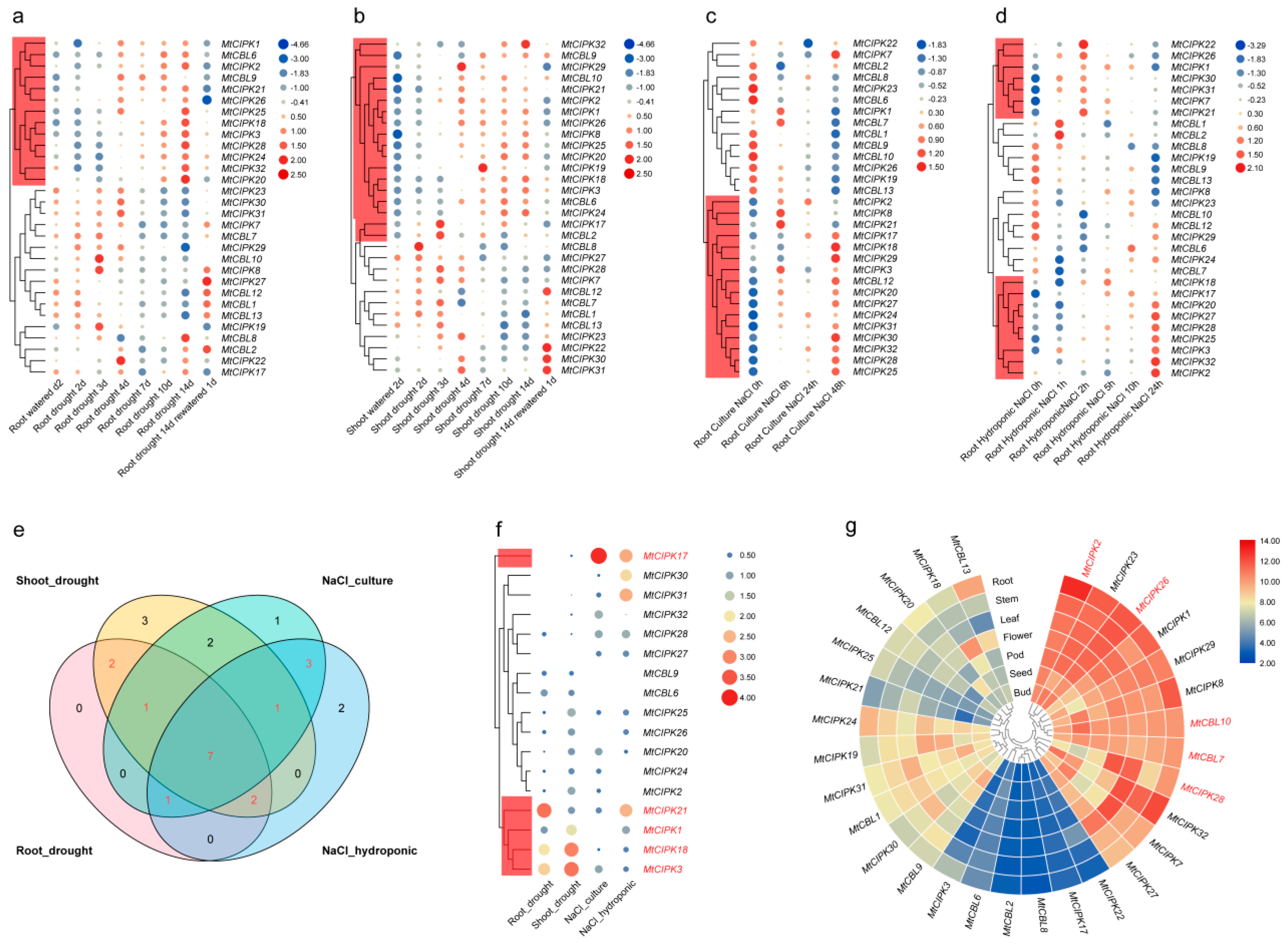 Ijms 22 04634 g005 Ijms 22 04634 g005