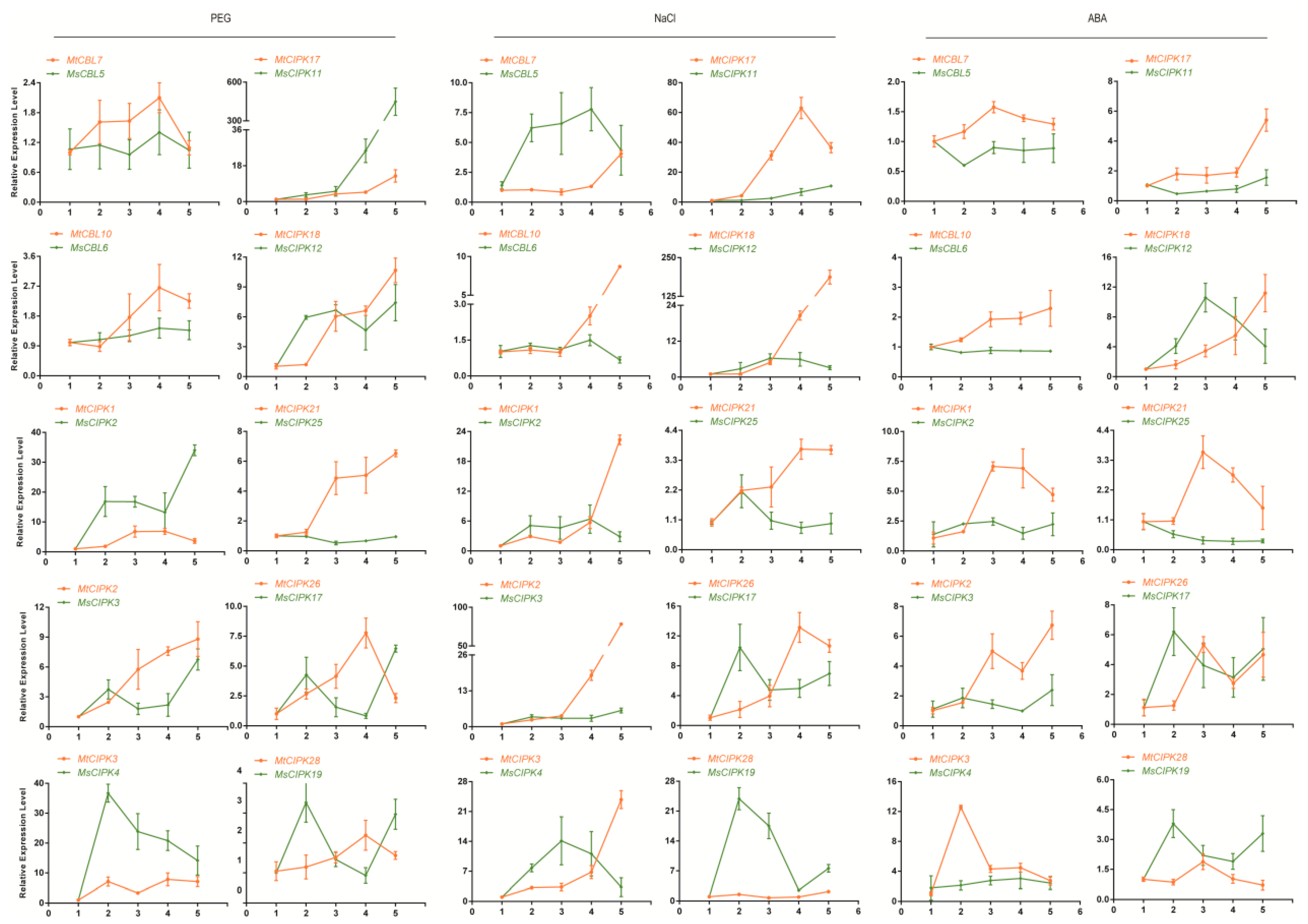 Ijms 22 04634 g006 Ijms 22 04634 g006