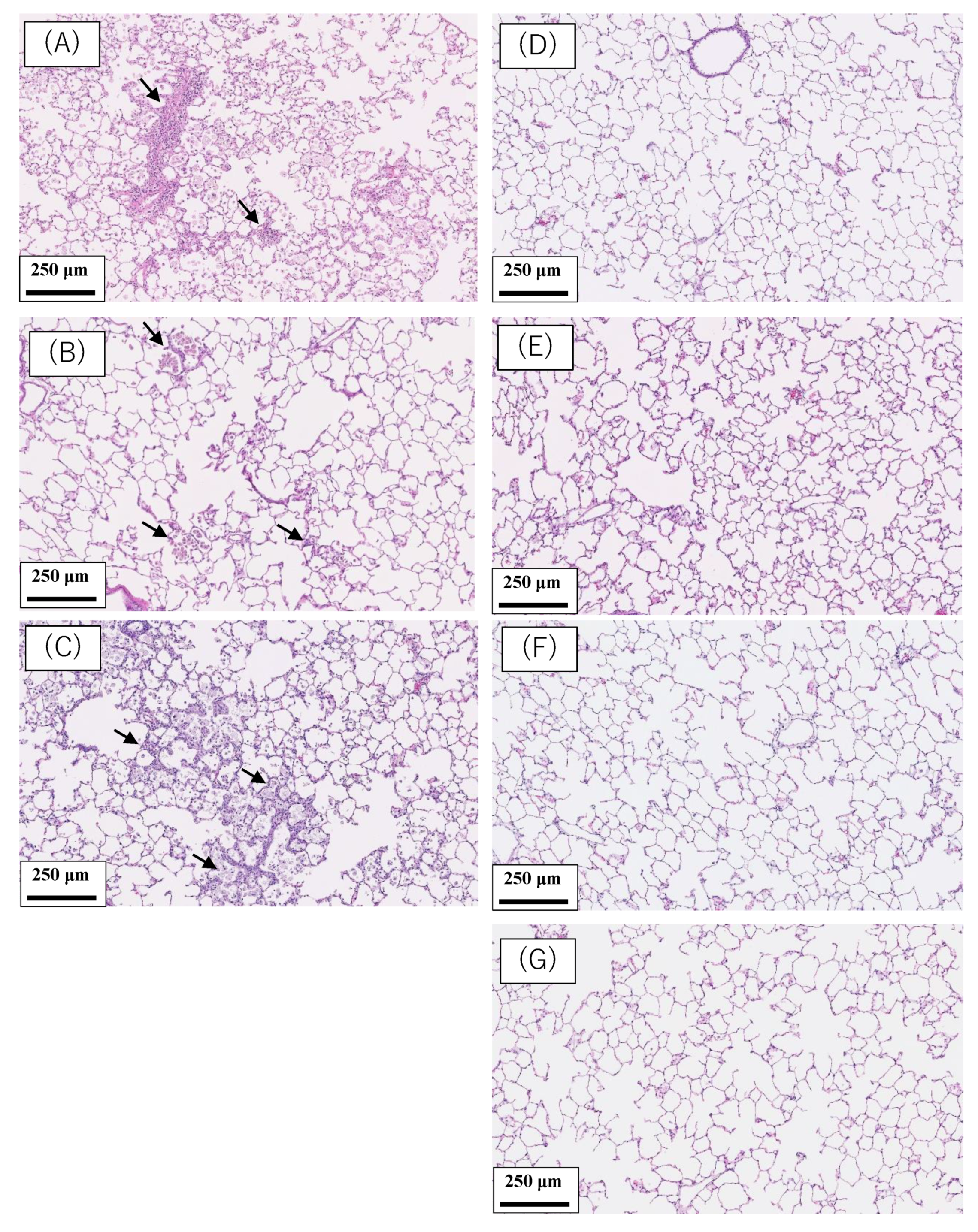 Ijms 22 04635 g001 Ijms 22 04635 g001