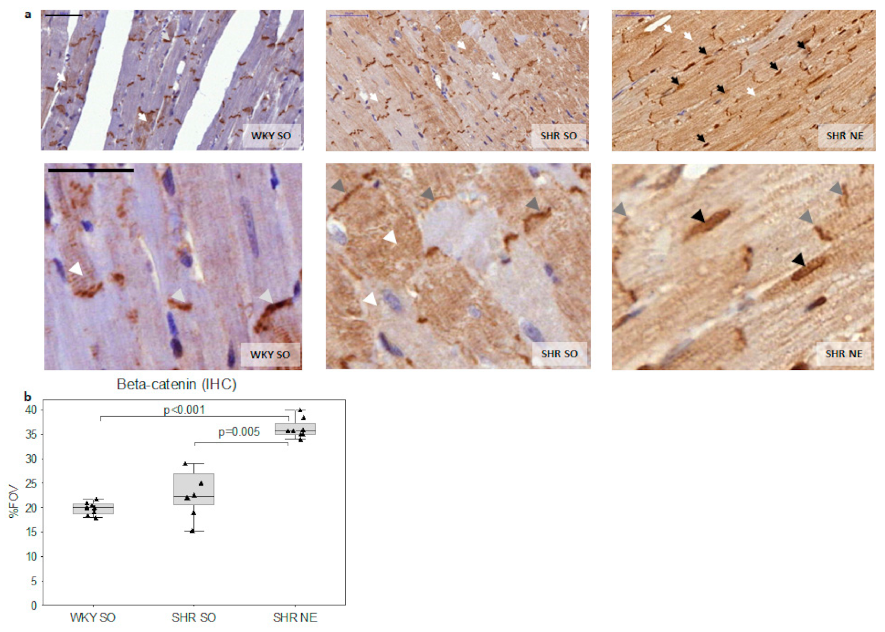 Ijms 22 04645 g002