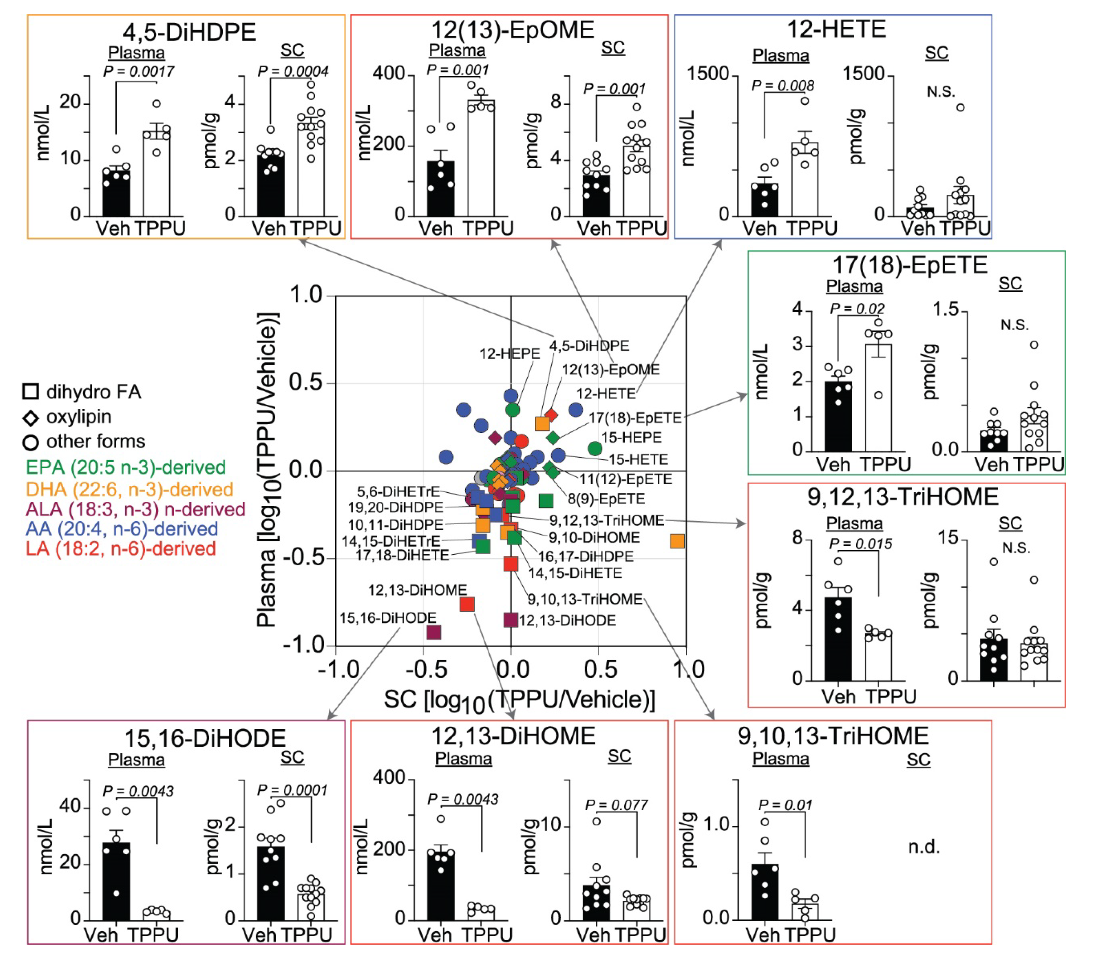 Ijms 22 04650 g005 Ijms 22 04650 g005