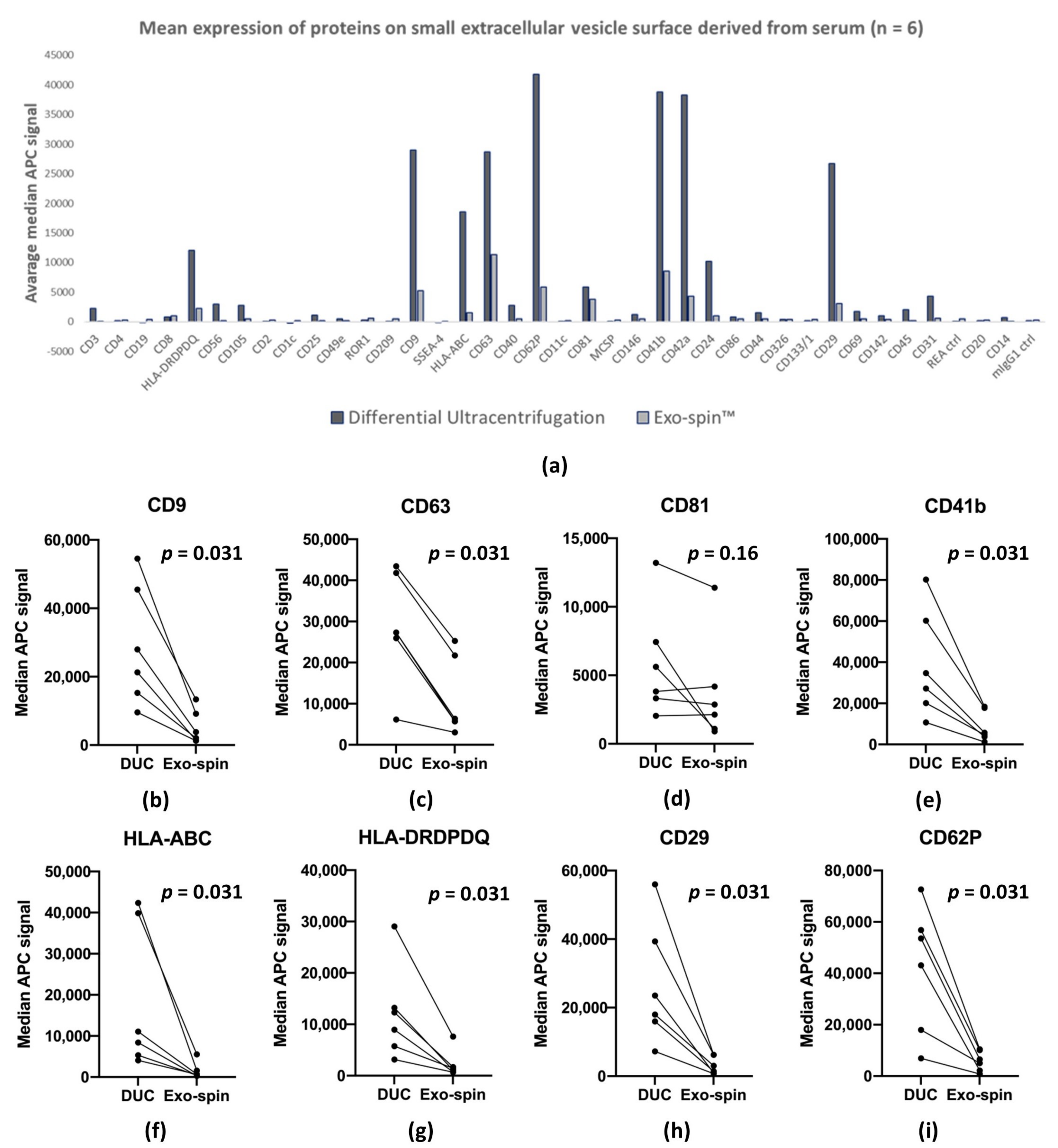 Ijms 22 04653 g006 Ijms 22 04653 g006