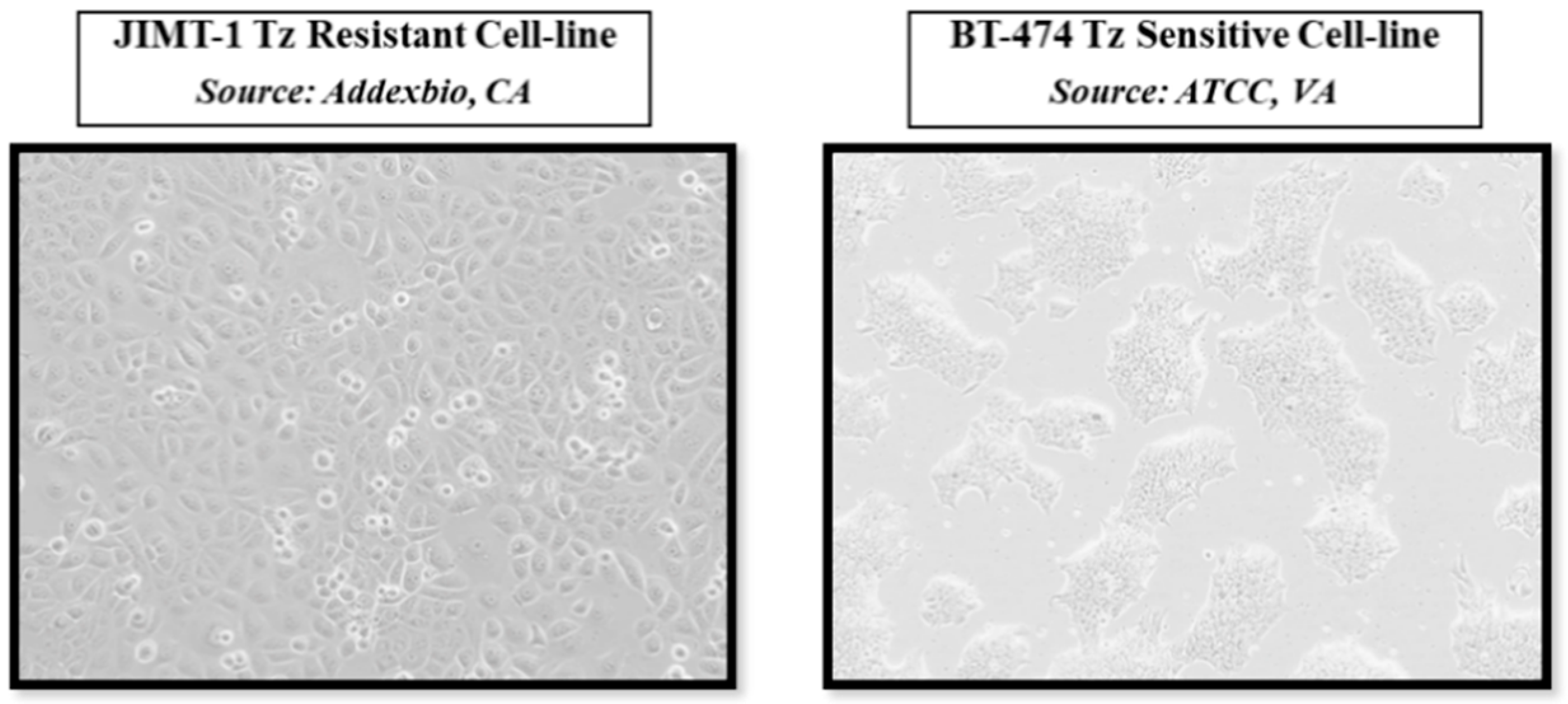 Ijms 22 04655 g001 Ijms 22 04655 g001