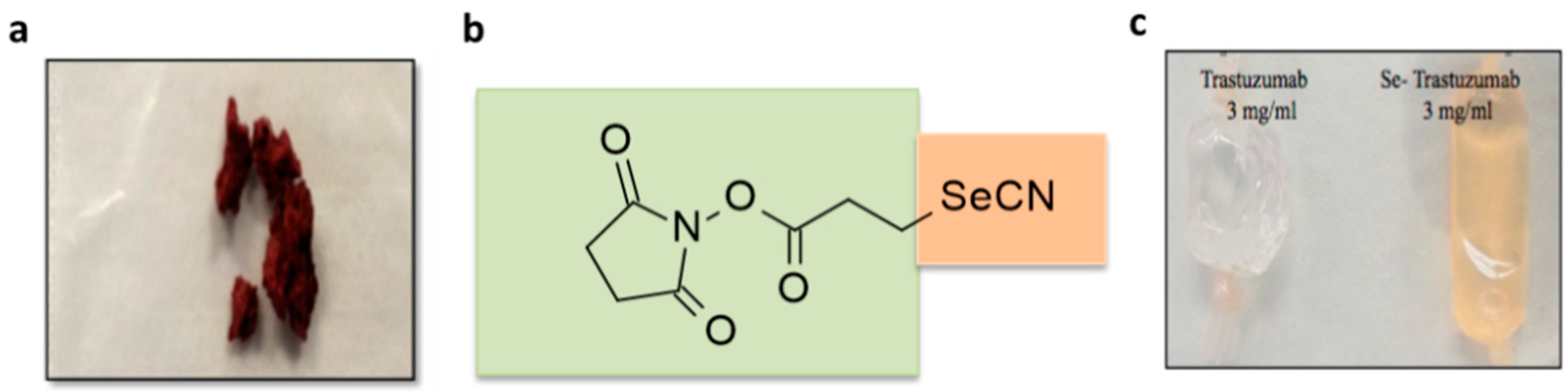 Ijms 22 04655 g002 Ijms 22 04655 g002