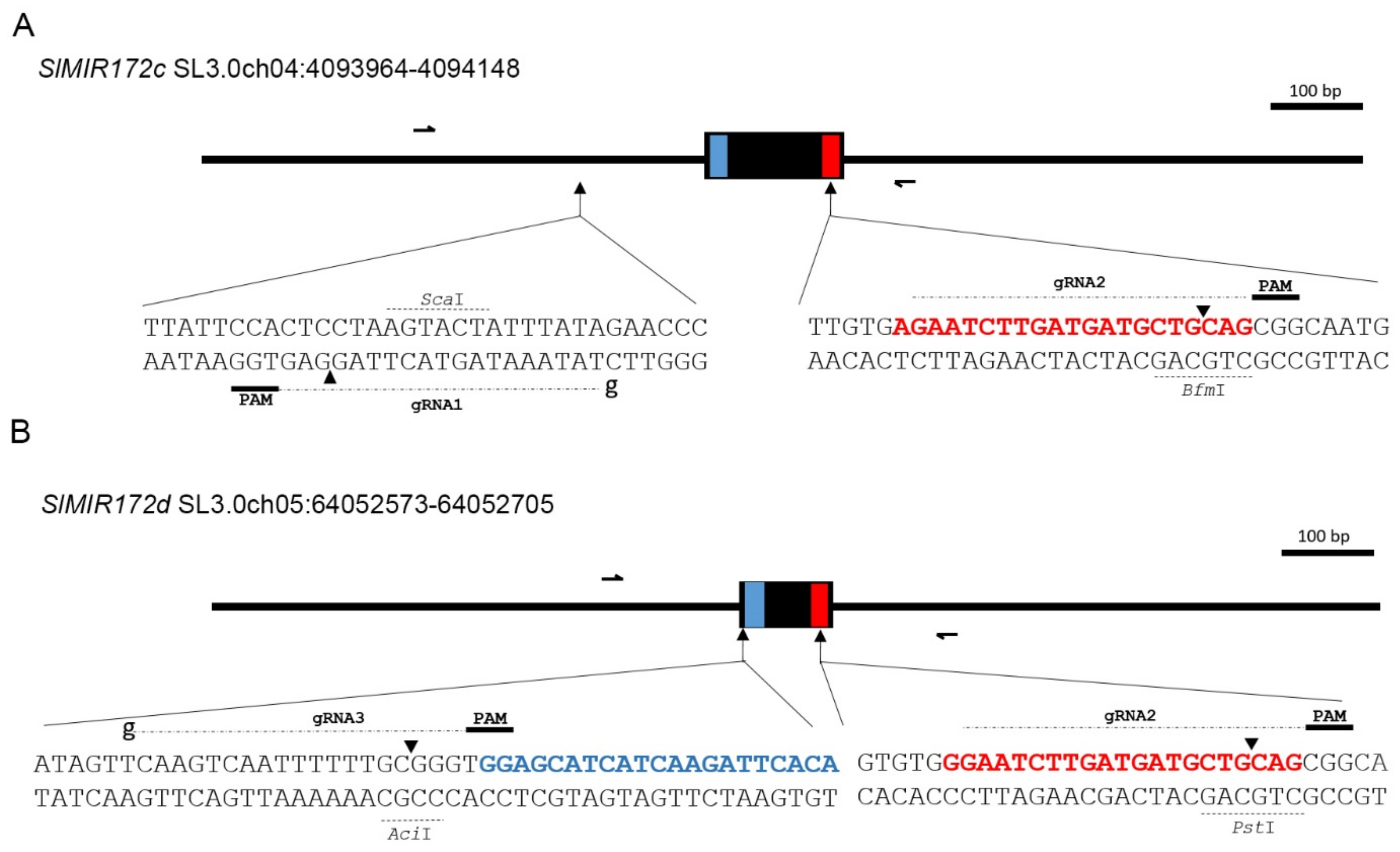 Ijms 22 04659 g002 Ijms 22 04659 g002
