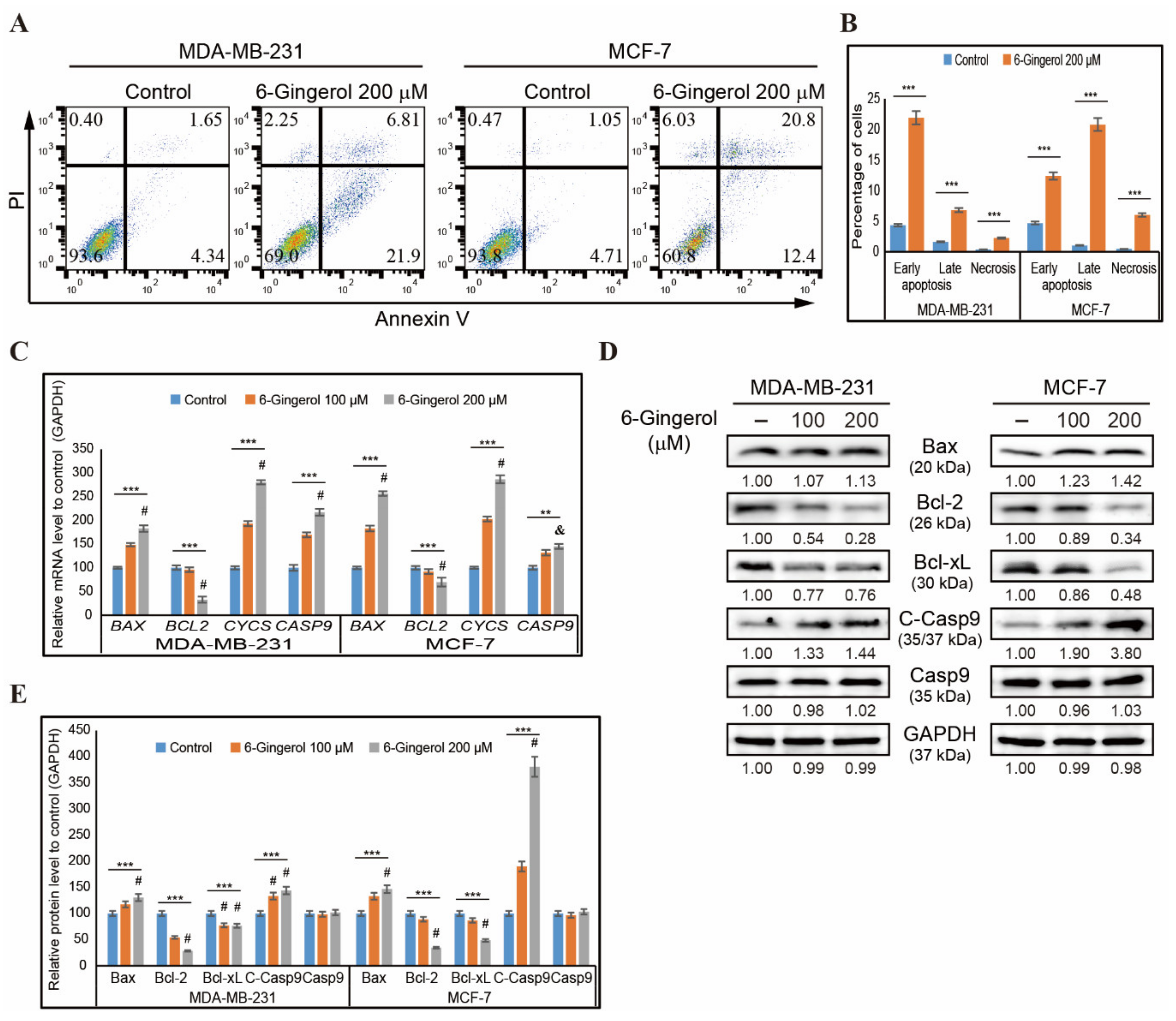 Ijms 22 04660 g004 Ijms 22 04660 g004