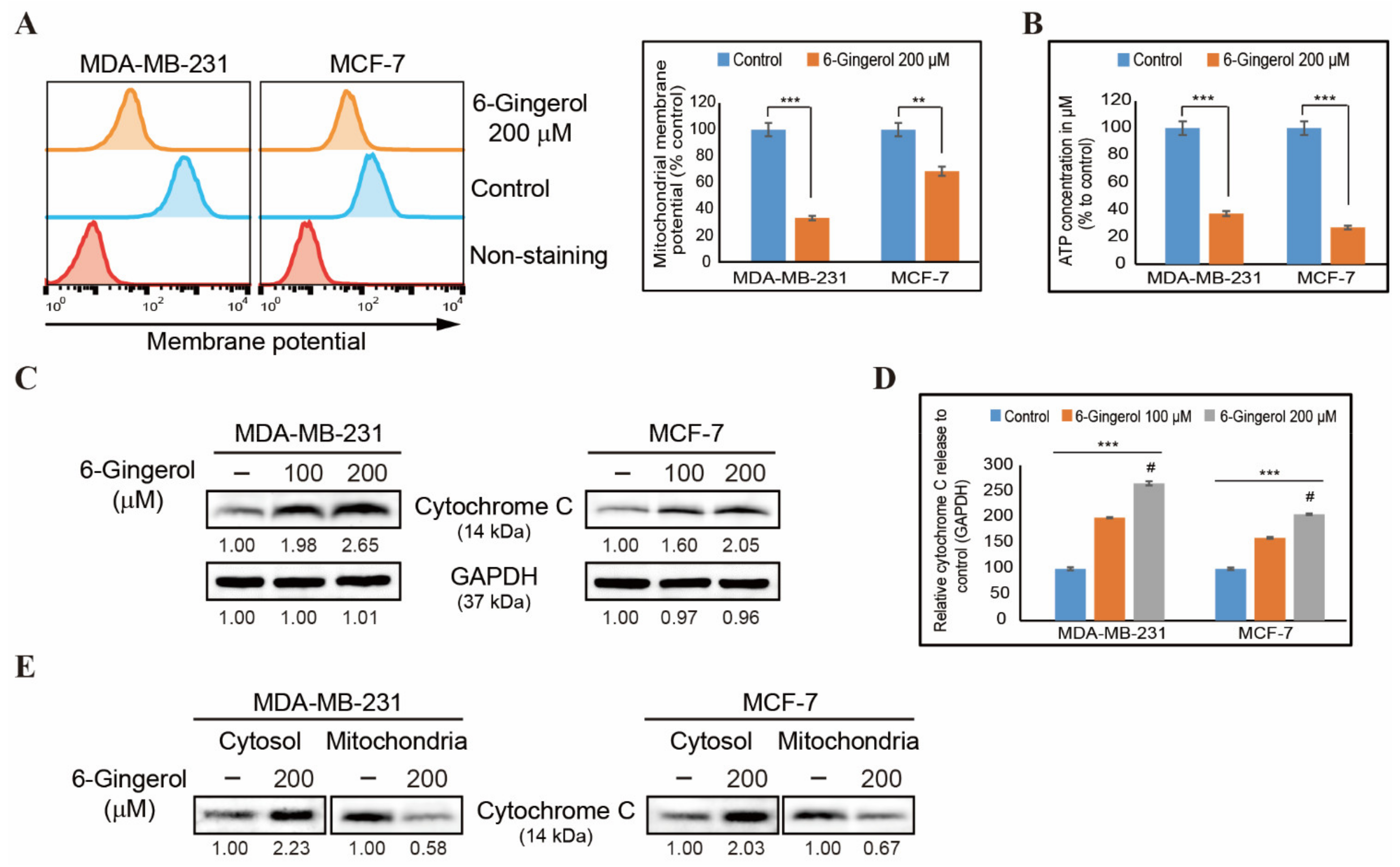 Ijms 22 04660 g005 Ijms 22 04660 g005