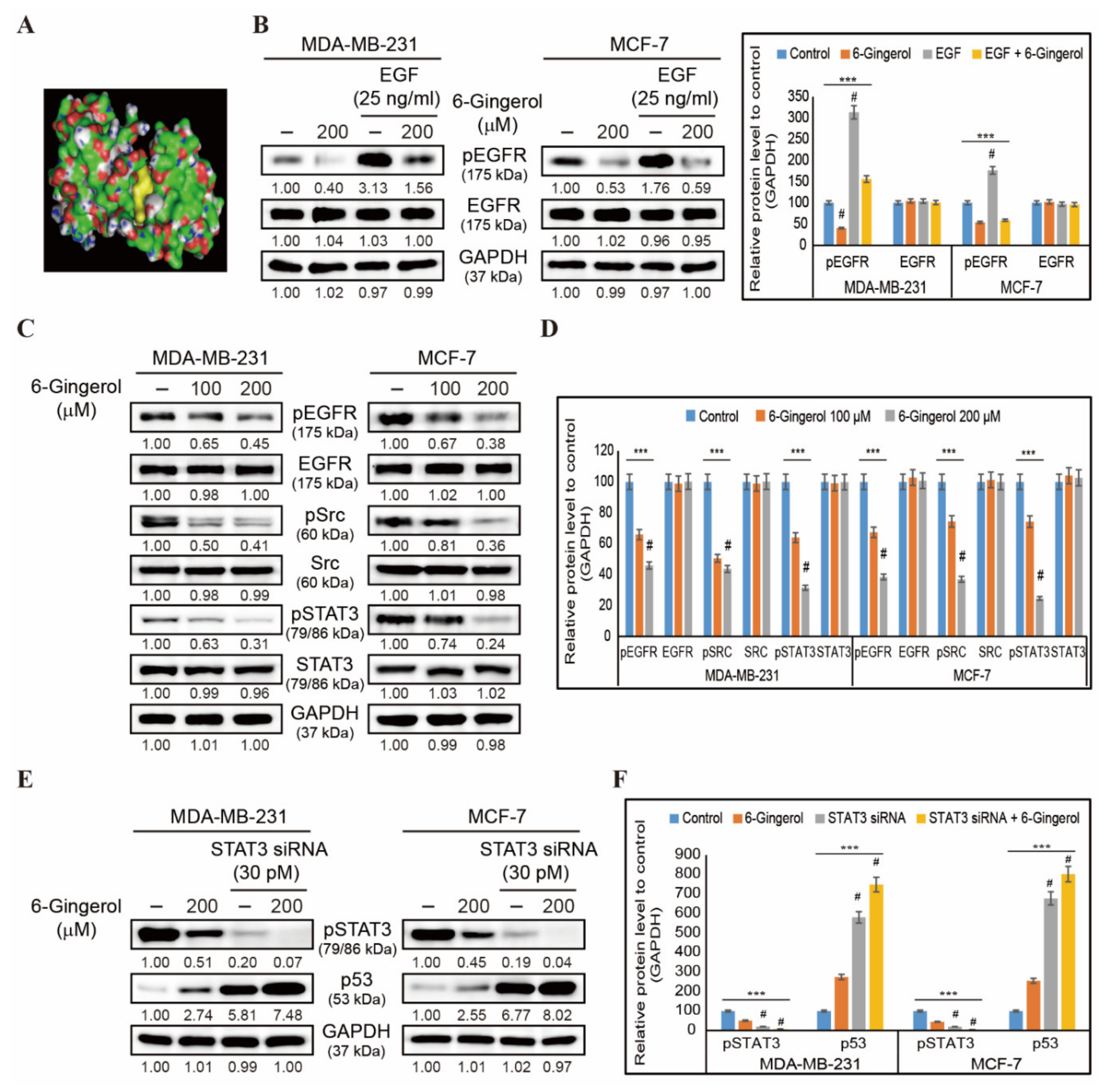 Ijms 22 04660 g006 Ijms 22 04660 g006