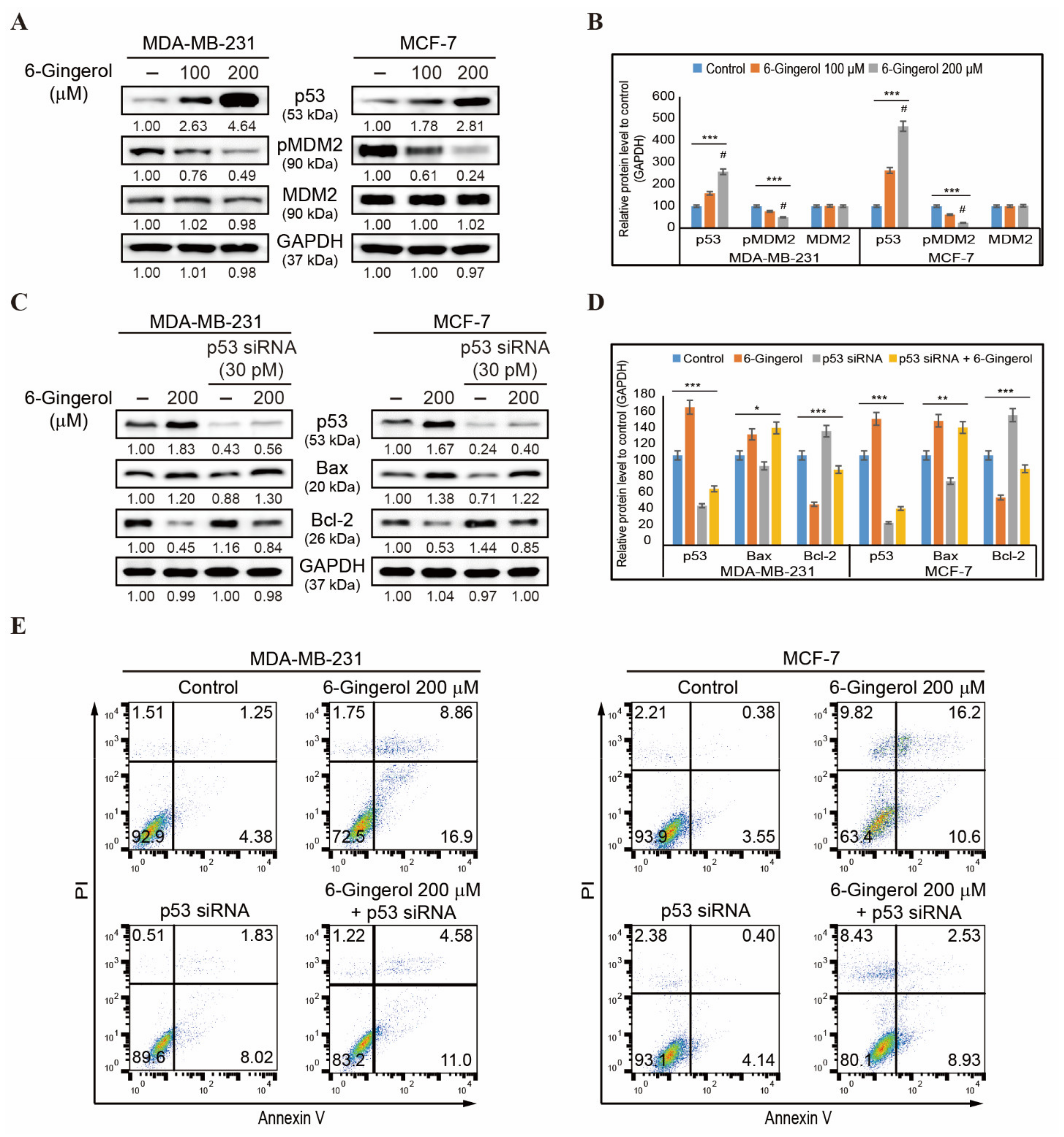 Ijms 22 04660 g007 Ijms 22 04660 g007