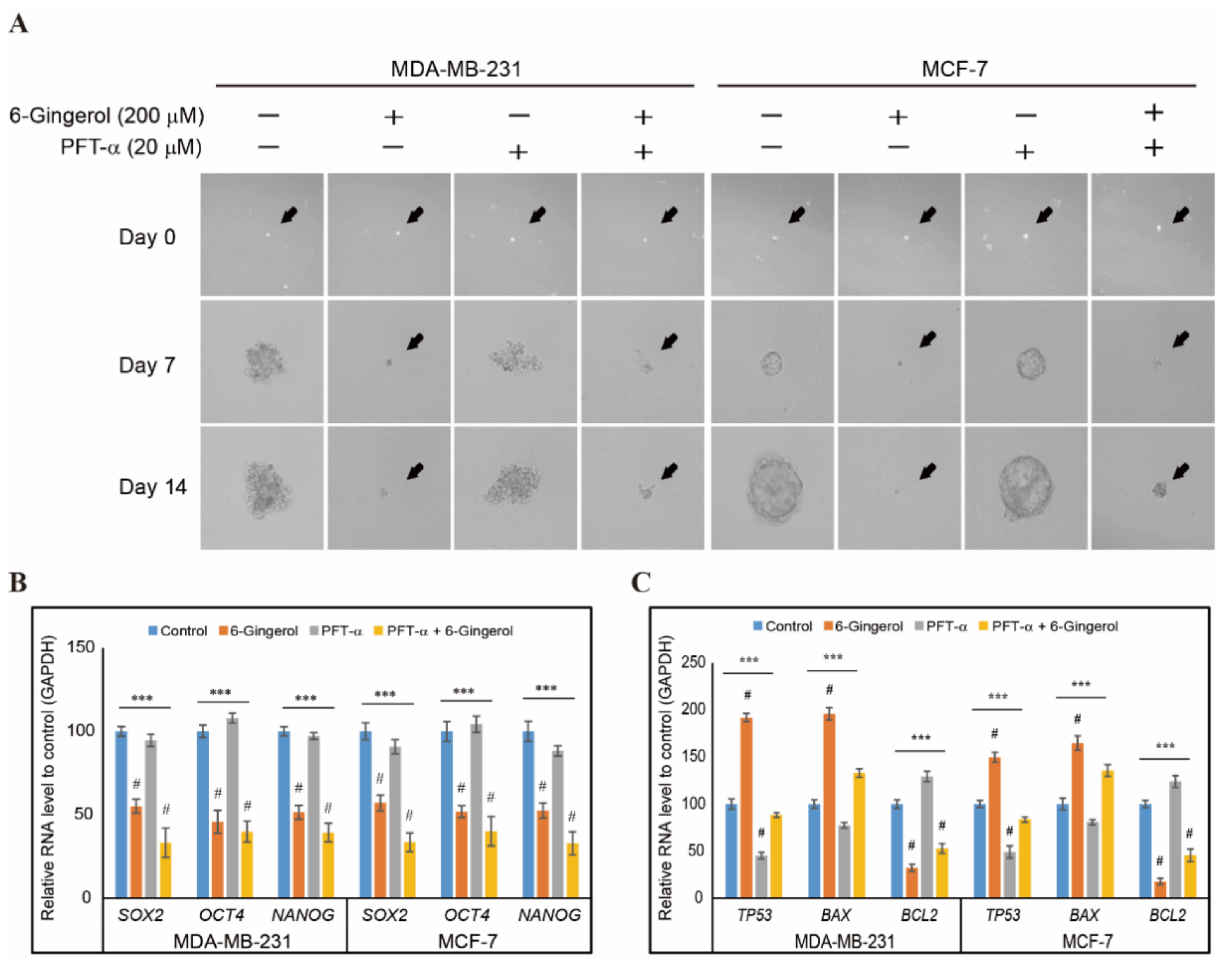 Ijms 22 04660 g008 Ijms 22 04660 g008