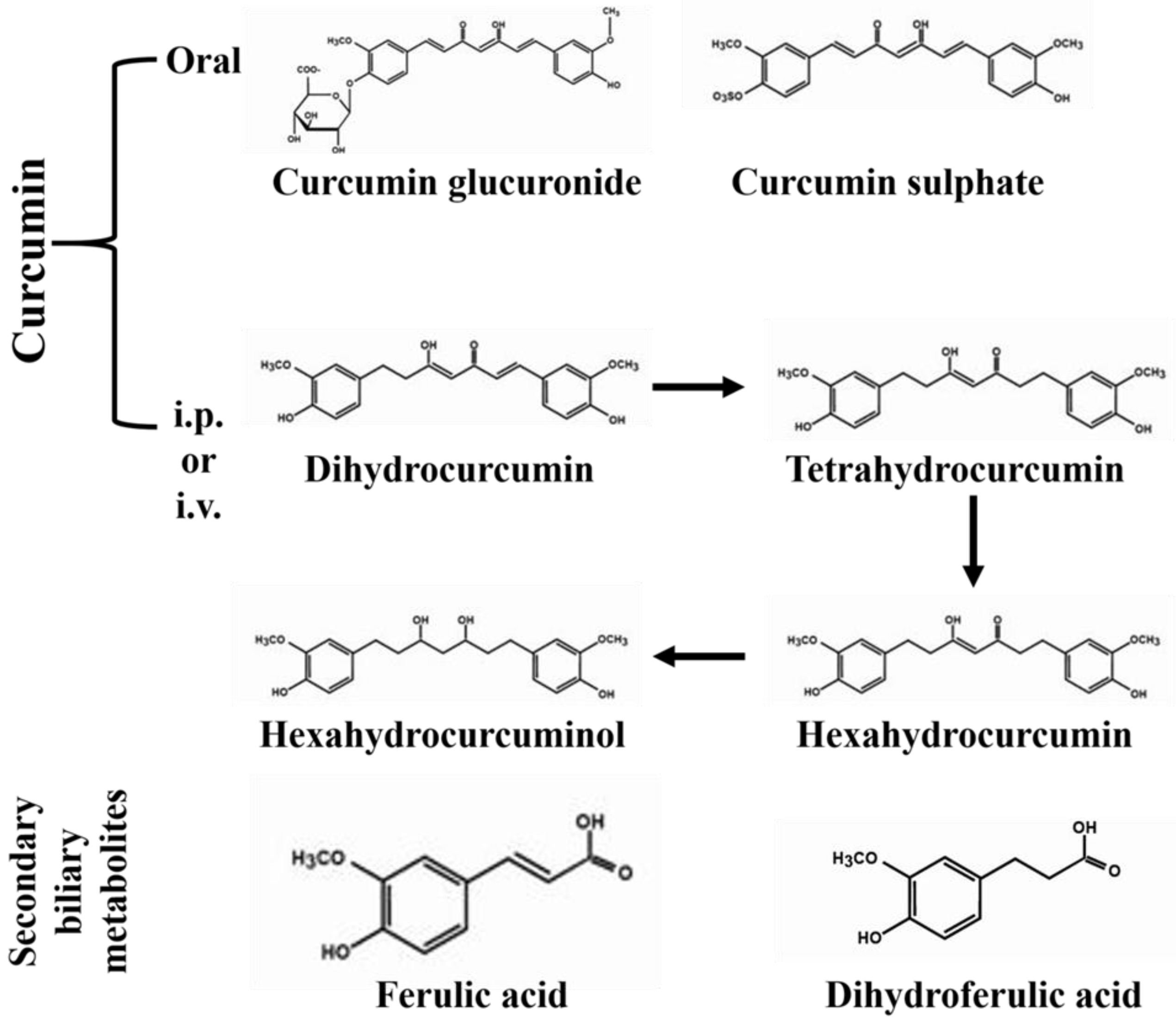 Ijms Free Full Text Effects Of Curcumin And Its Different Formulations In Preclinical And Clinical Studies Of Peripheral Neuropathic And Postoperative Pain A Comprehensive Review Html