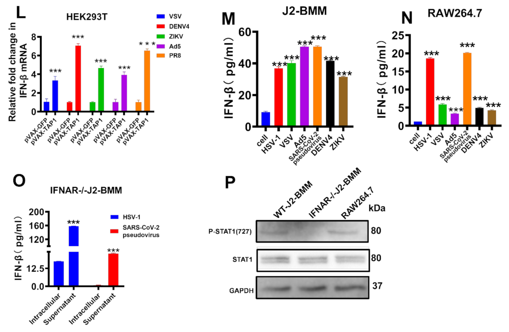 Ijms 22 04668 g004b Ijms 22 04668 g004b