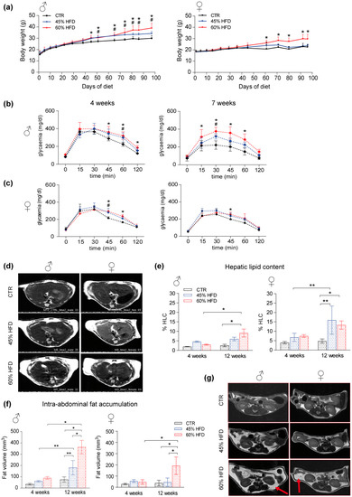 IJMS | Free Full-Text | Skeletal Muscle Proteomic Profile Revealed Gender-Related Metabolic Responses in a Diet-Induced Obesity Animal Model IJMS | Free Full-Text | Skeletal Muscle Proteomic Profile Revealed Gender-Related Metabolic Responses in a Diet-Induced Obesity Animal Model