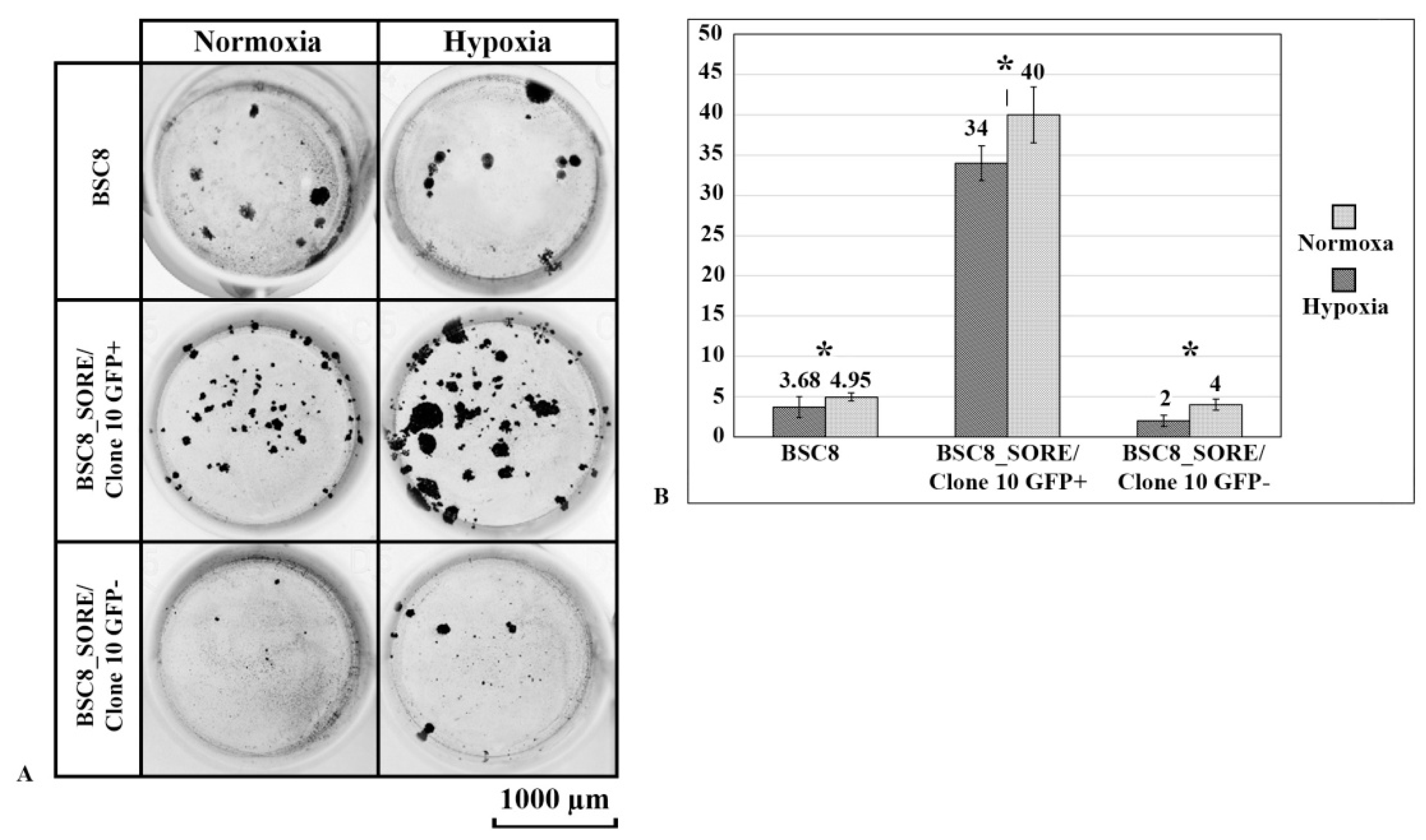 Ijms 22 04682 g003 Ijms 22 04682 g003