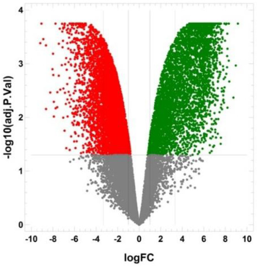 Isolation and Characterization of Human Colon Adenocarcinoma