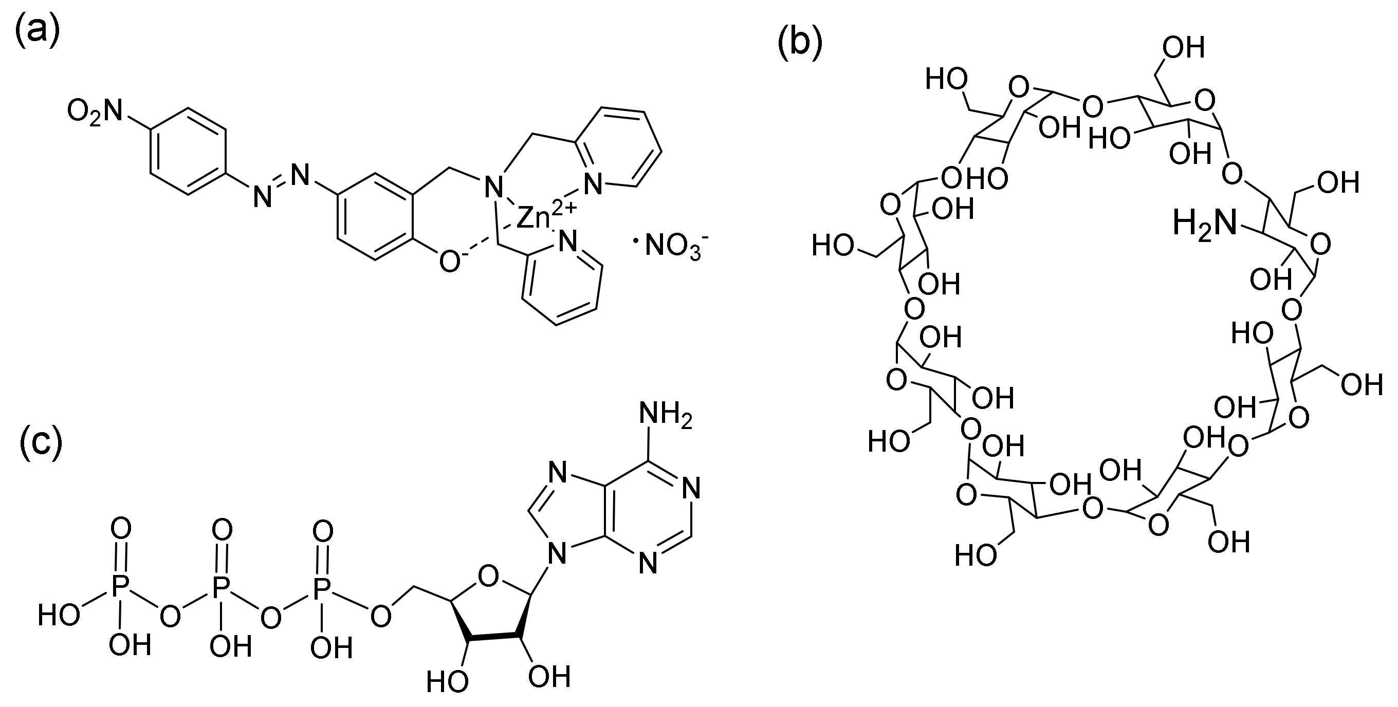 洋書 BIOCHEMISTRY 9781496363541.jpg