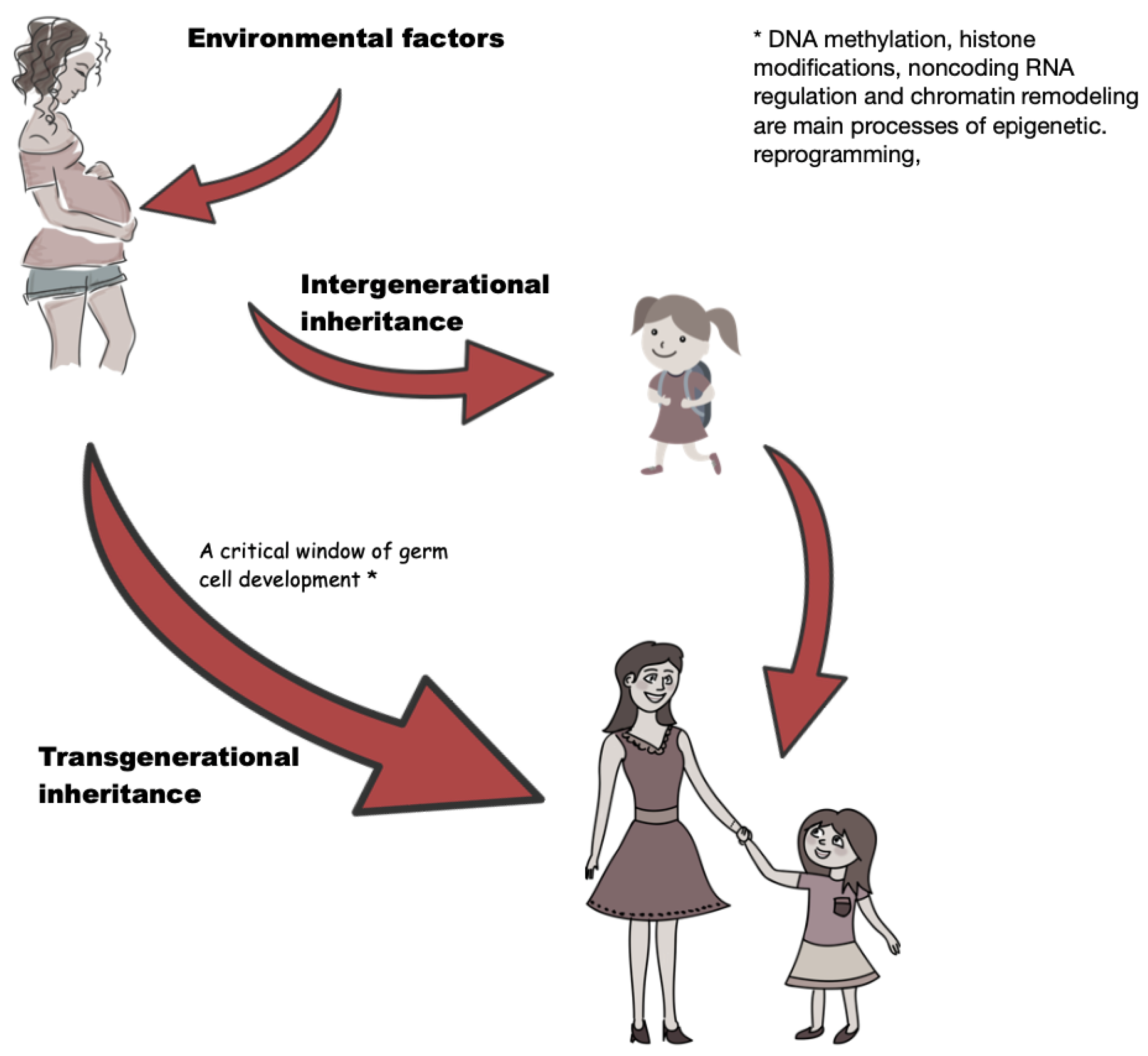 IJMS | Free Full-Text | Epigenetic Modifications Associated with Exposure to Endocrine Disrupting Chemicals in Patients with Gestational Diabetes Mellitus IJMS | Free Full-Text | Epigenetic Modifications Associated with Exposure to Endocrine Disrupting Chemicals in Patients with Gestational Diabetes Mellitus