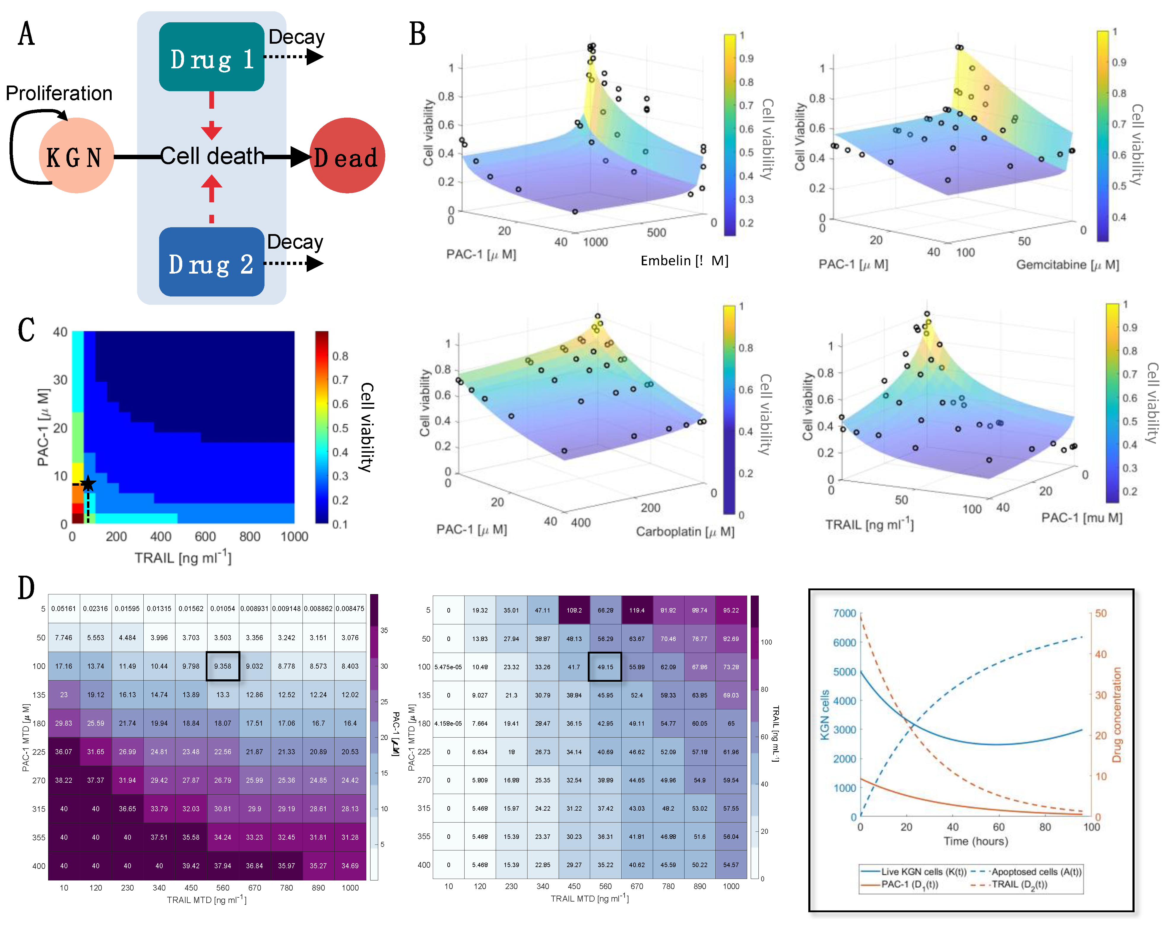 Ijms 22 04699 g003 Ijms 22 04699 g003
