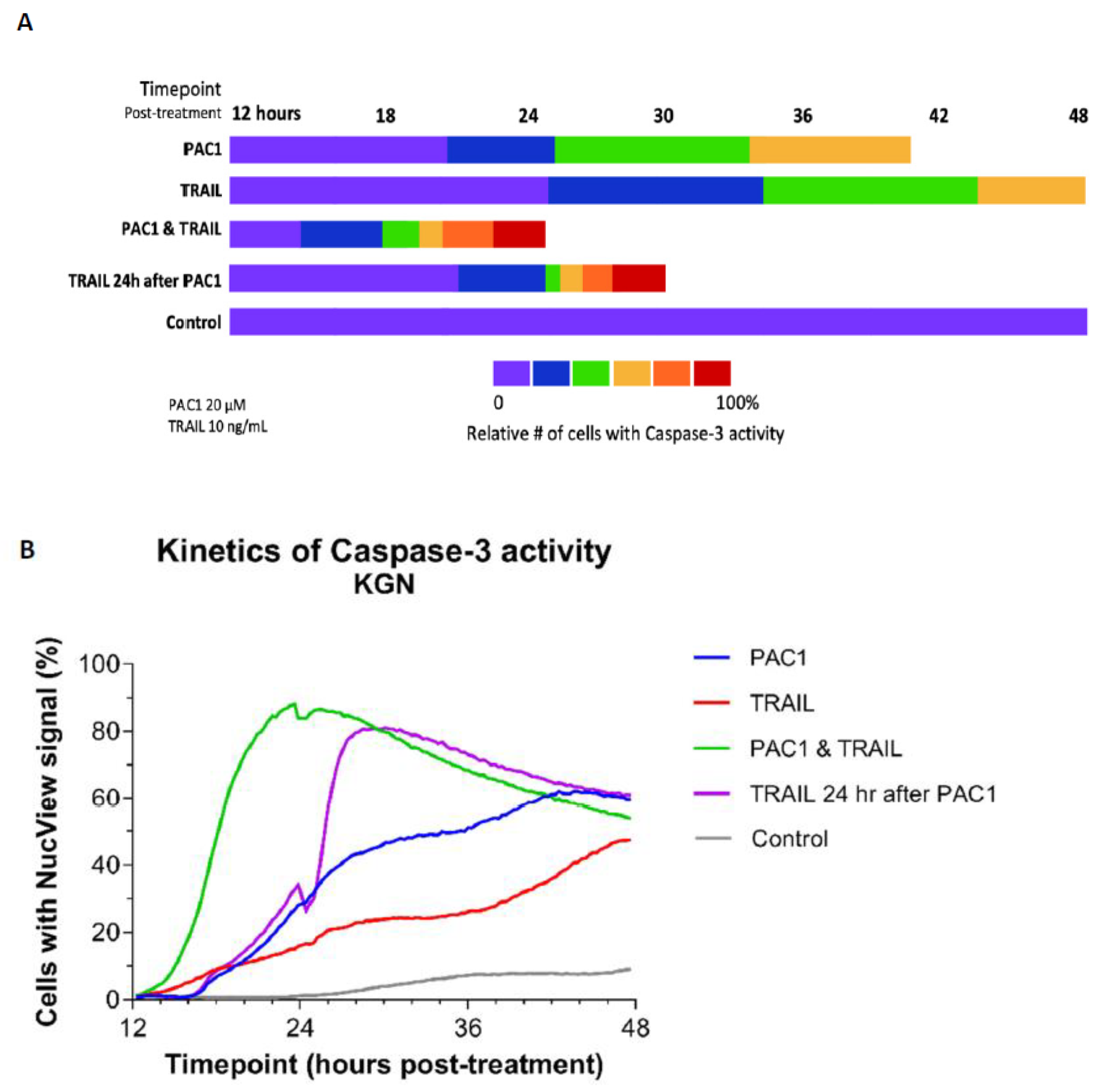 Ijms 22 04699 g004 Ijms 22 04699 g004