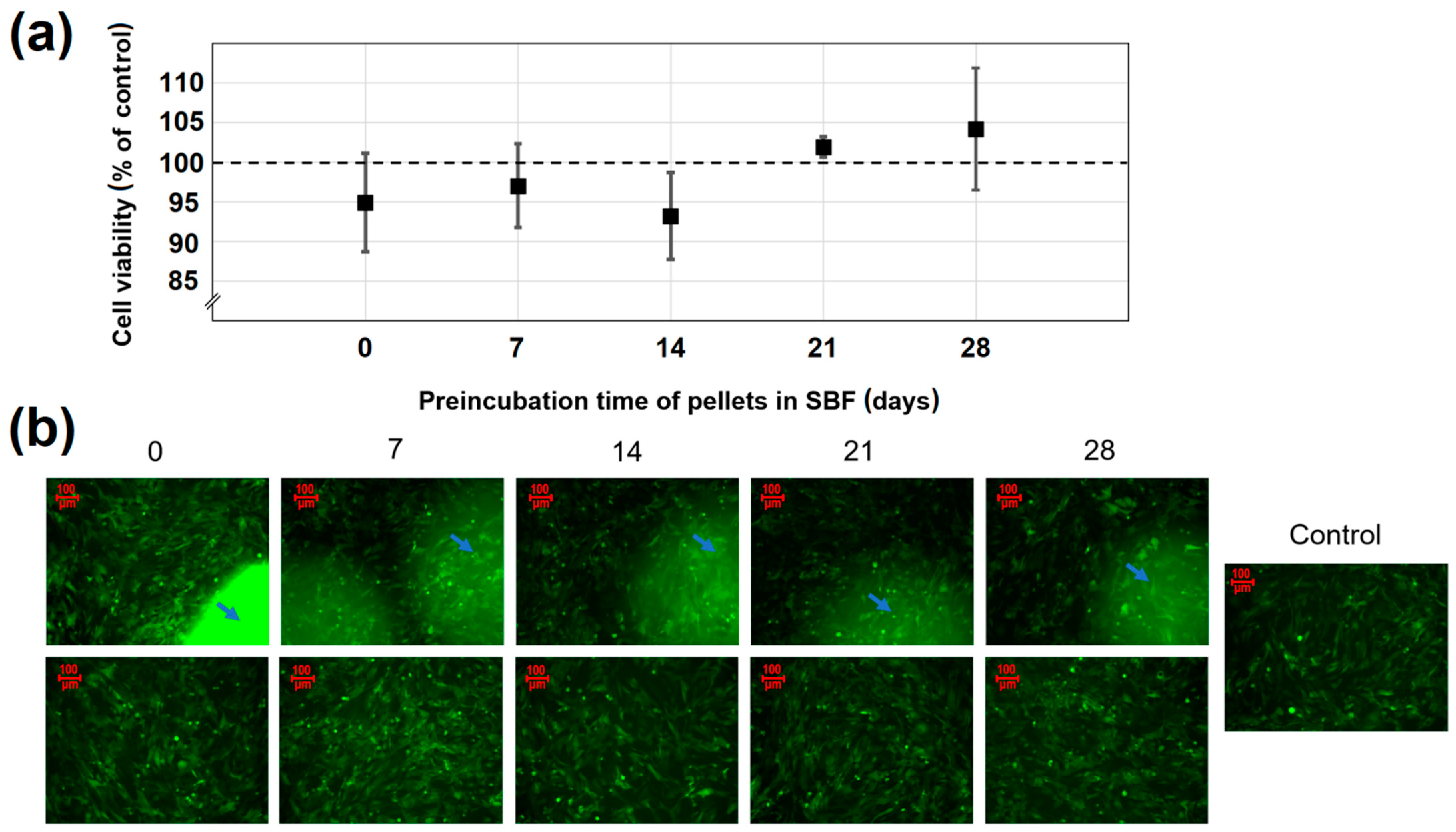 Ijms 22 04708 g009 Ijms 22 04708 g009