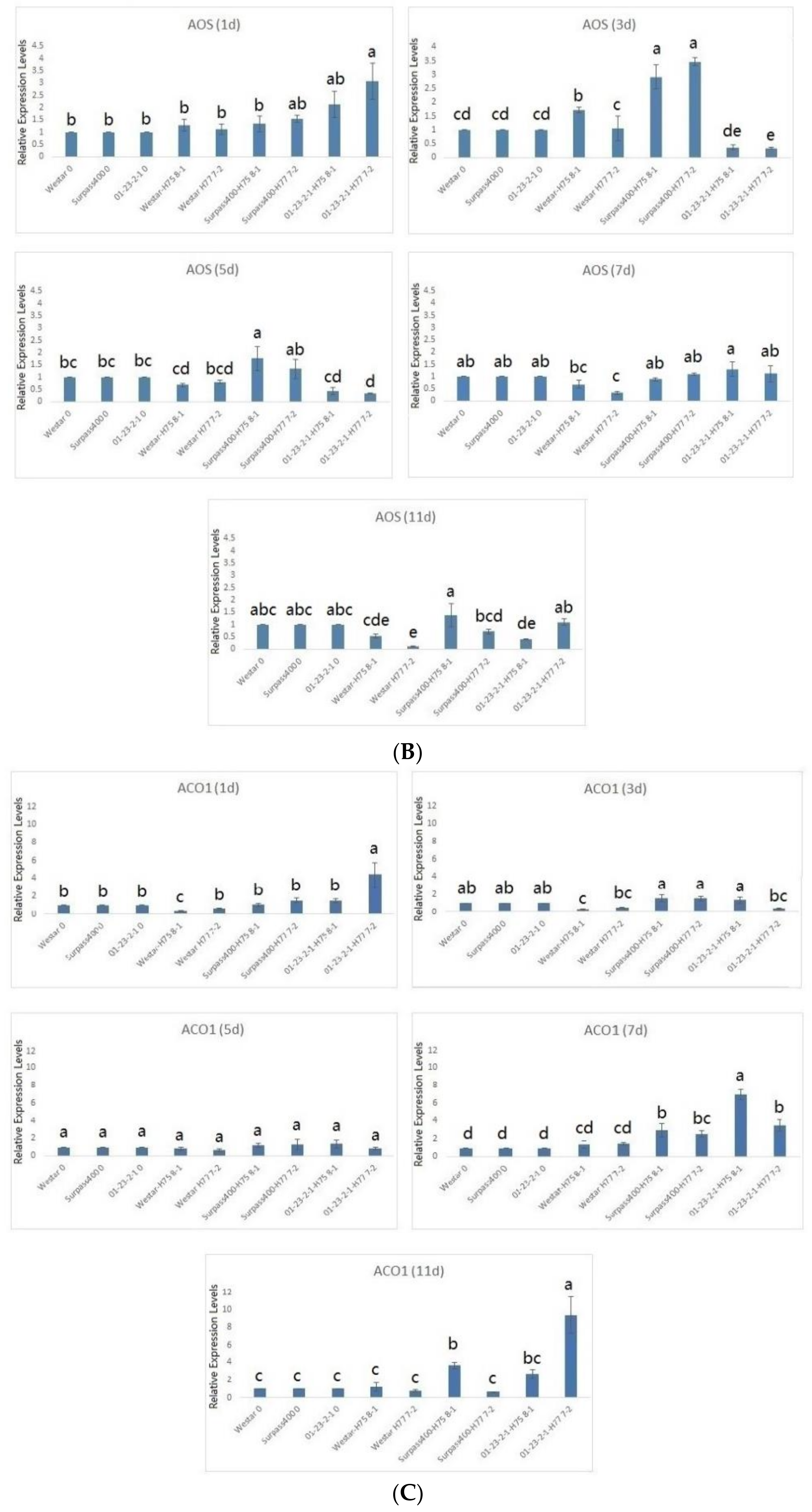 Ijms 22 04714 g004b Ijms 22 04714 g004b