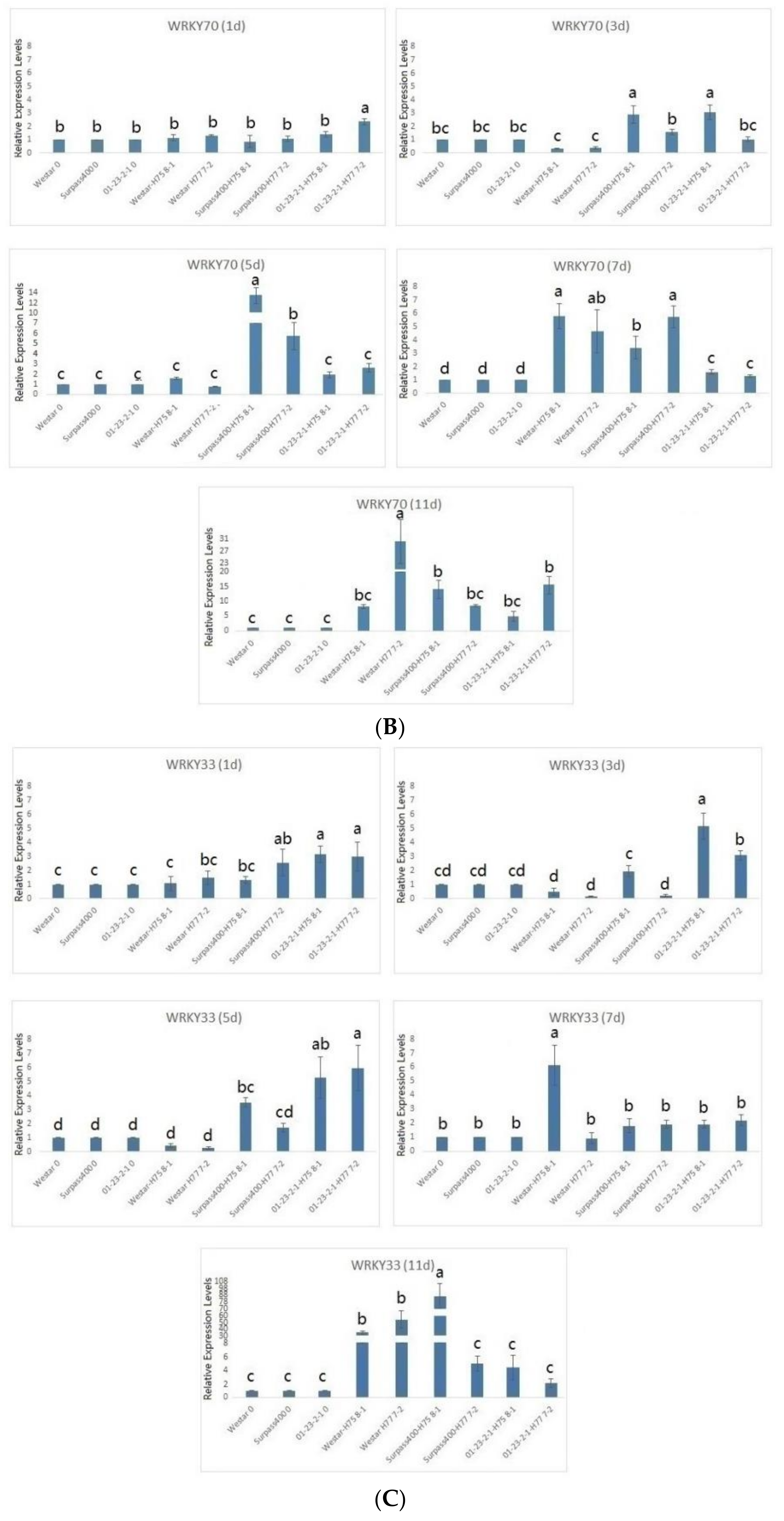 Ijms 22 04714 g005b Ijms 22 04714 g005b