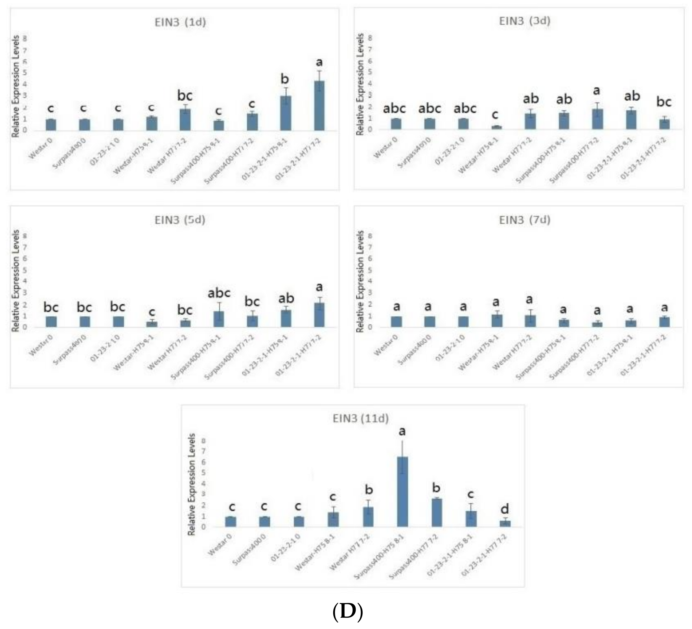 Ijms 22 04714 g005c Ijms 22 04714 g005c