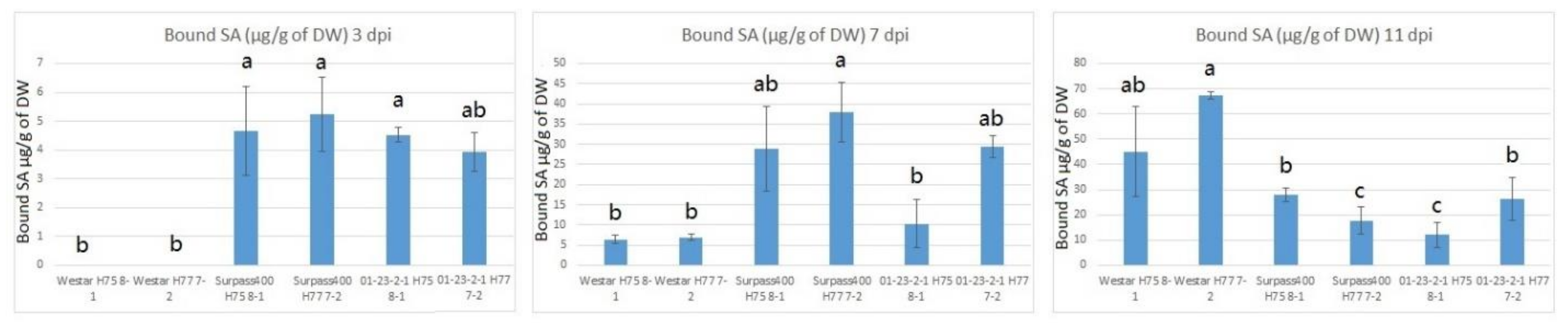 Ijms 22 04714 g007 Ijms 22 04714 g007