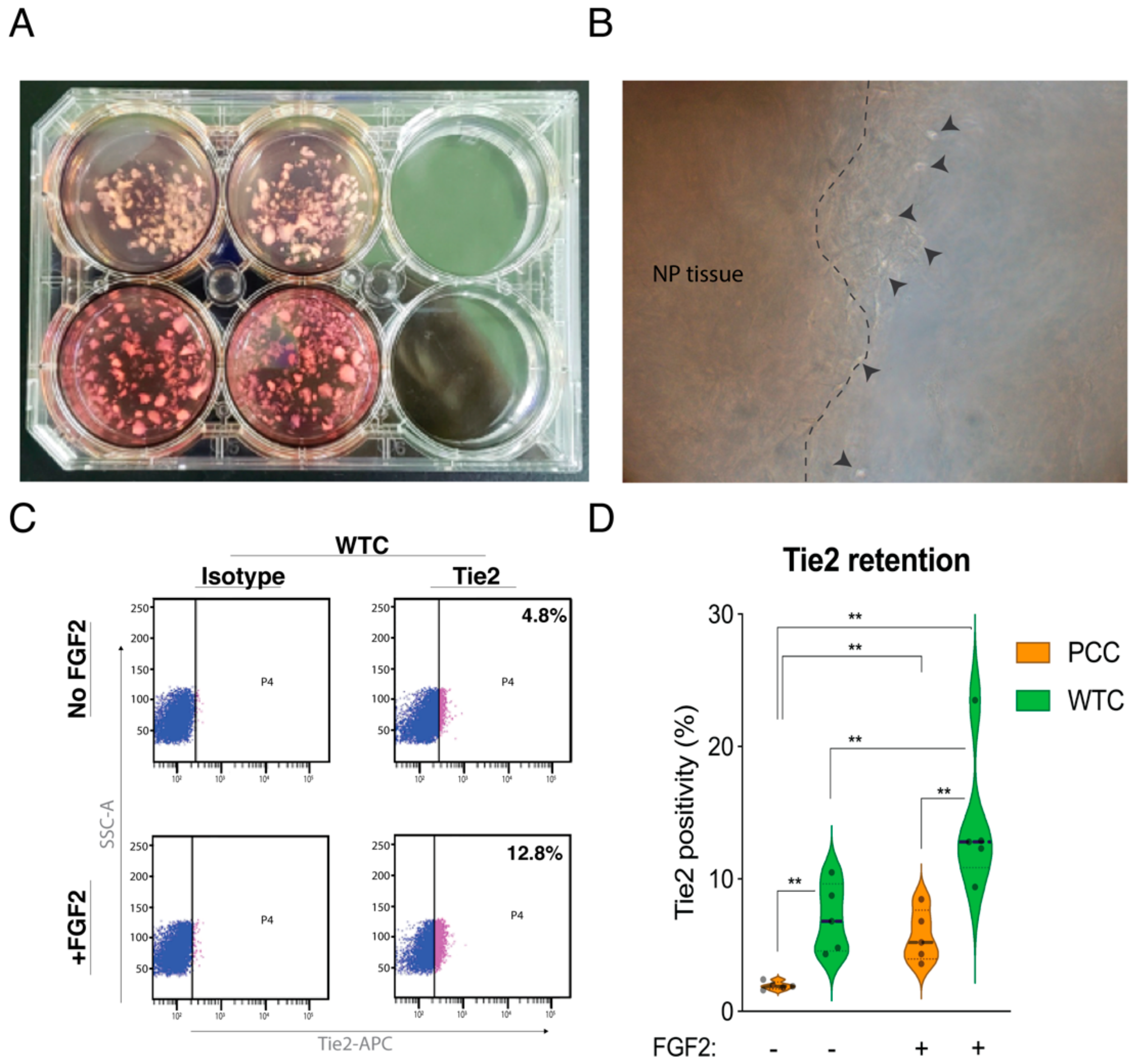 Ijms 22 04723 g001 Ijms 22 04723 g001