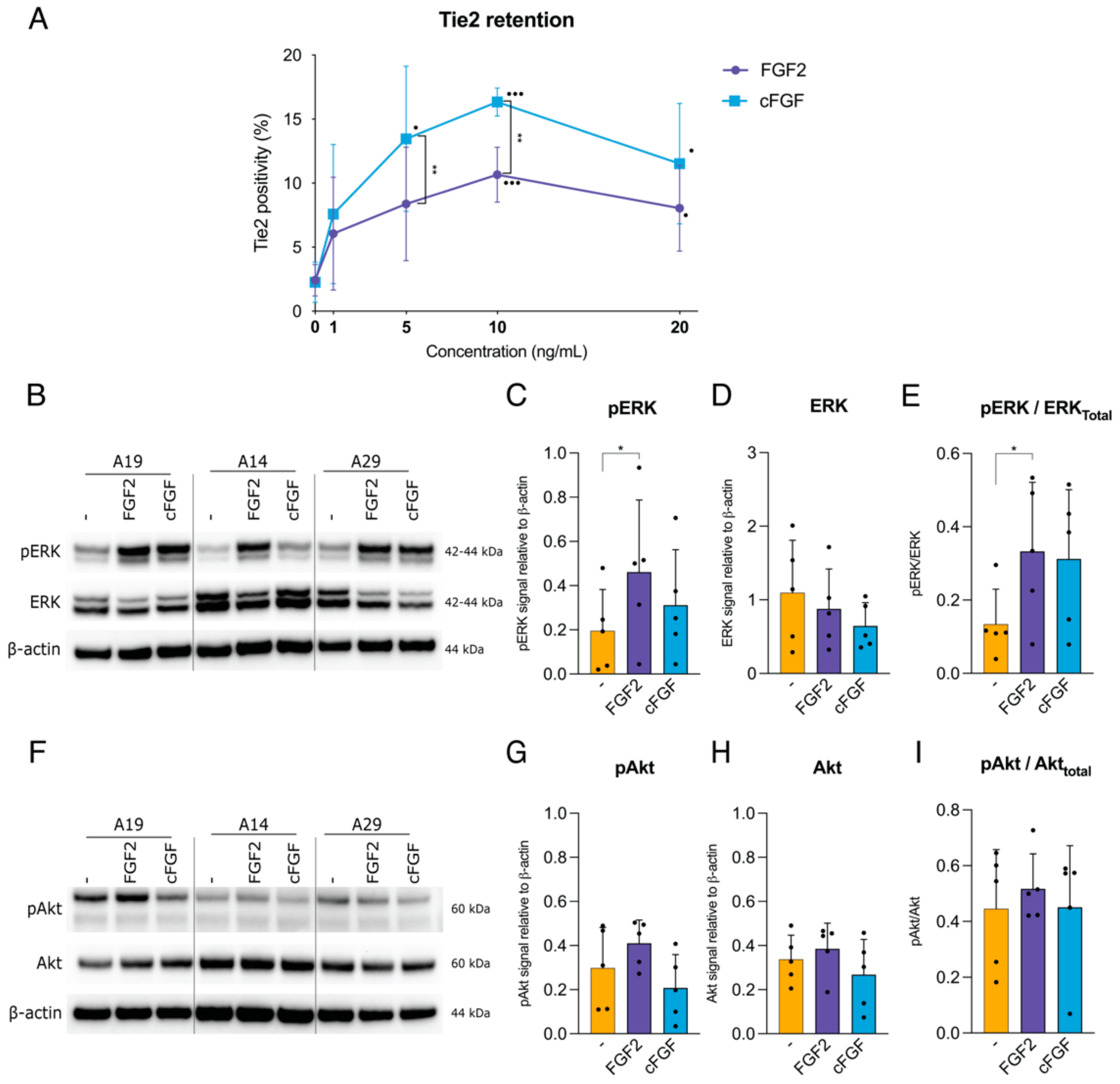 Ijms 22 04723 g002 Ijms 22 04723 g002